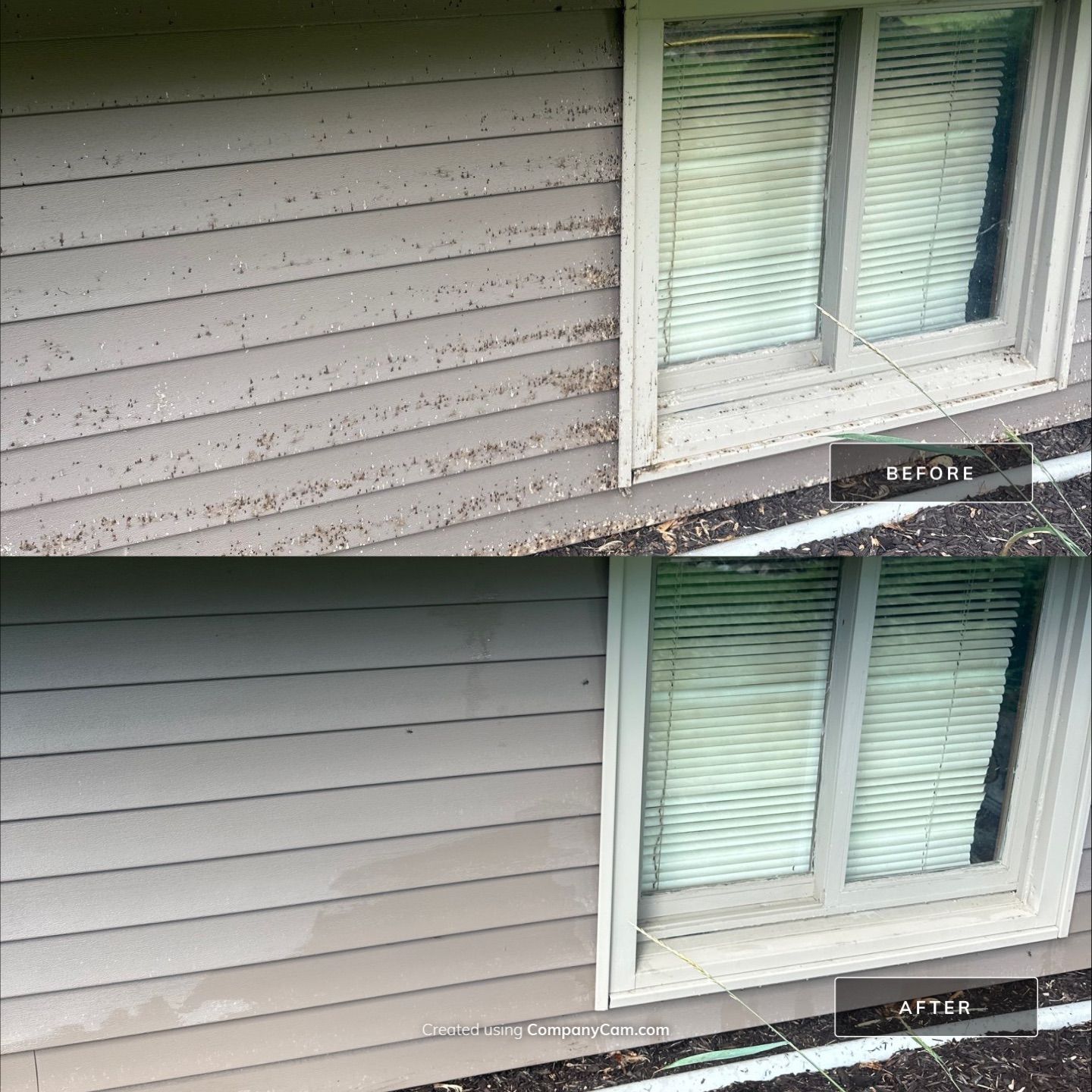 Project in Richmond by Simmons Power & Soft Washing