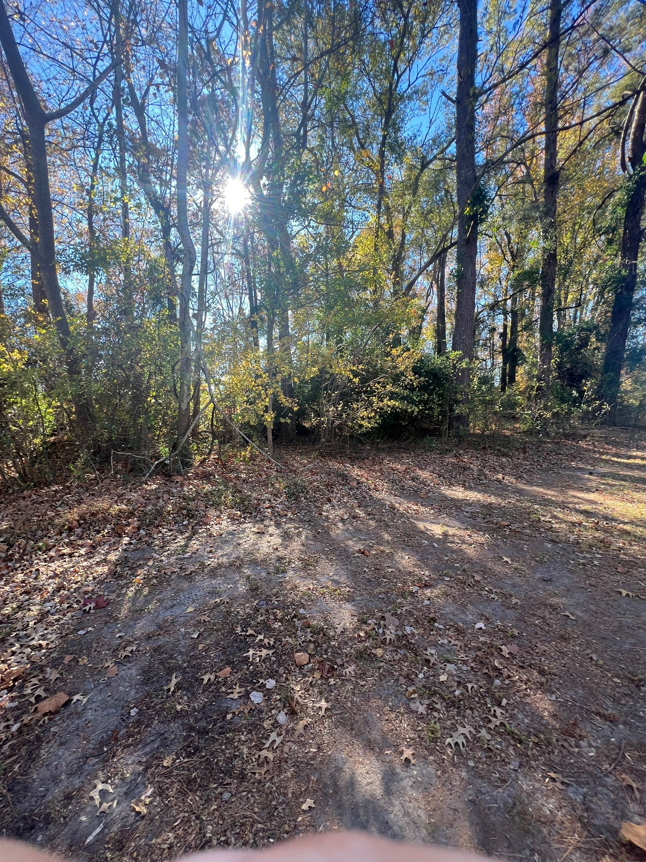 S.W. Contracting & Consulting featured photo.