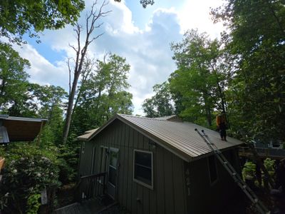 Jack Pine Loop