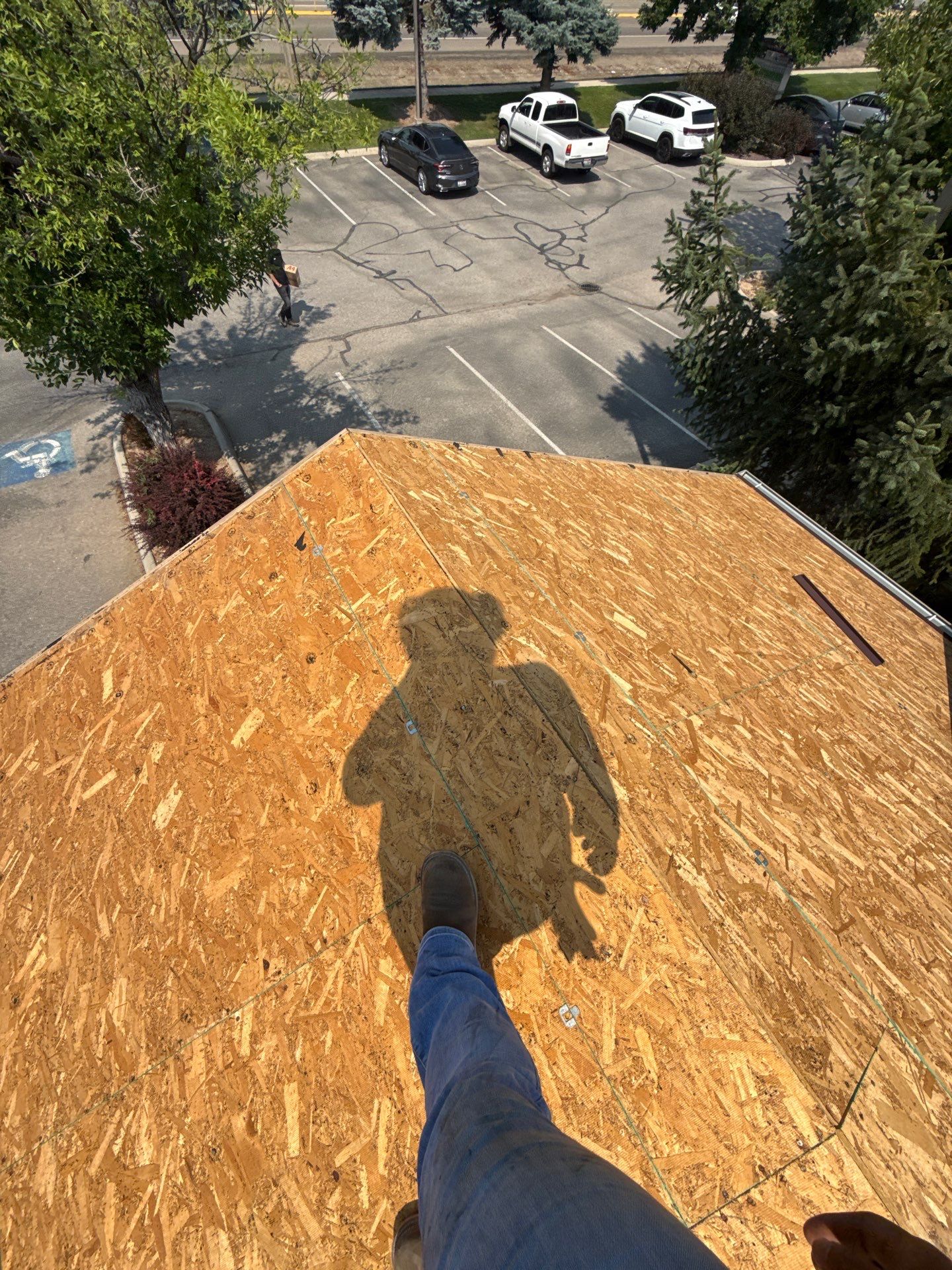 Boise Commercial Roof Replacement with Brown Architectural Shingles by Olive Roofing