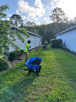 Residential | Topsoil Install & Tree Trimming