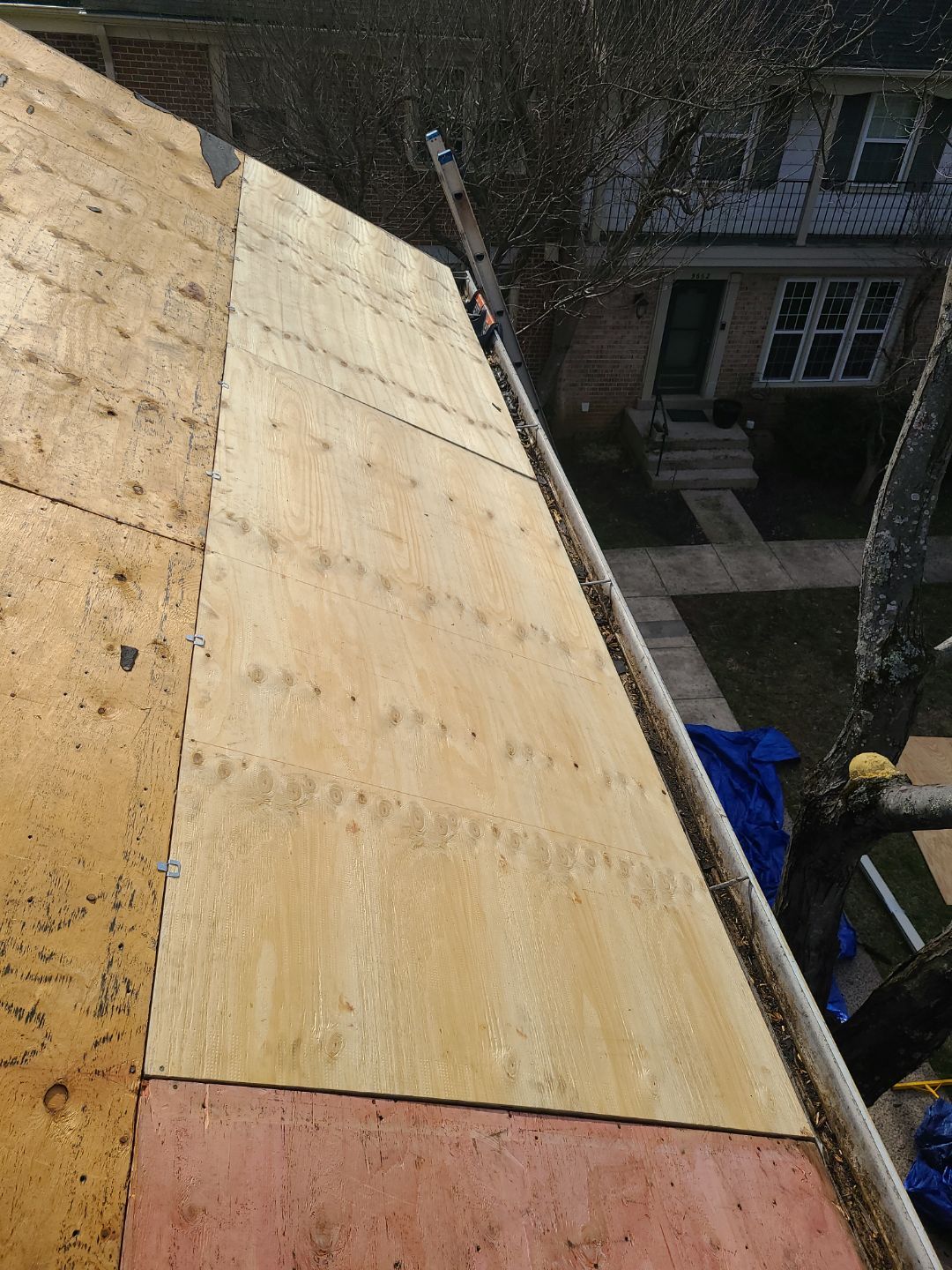 Burke CertainTeed Landmark Pro Roof in Max Def Espresso by RM Banning, Inc.