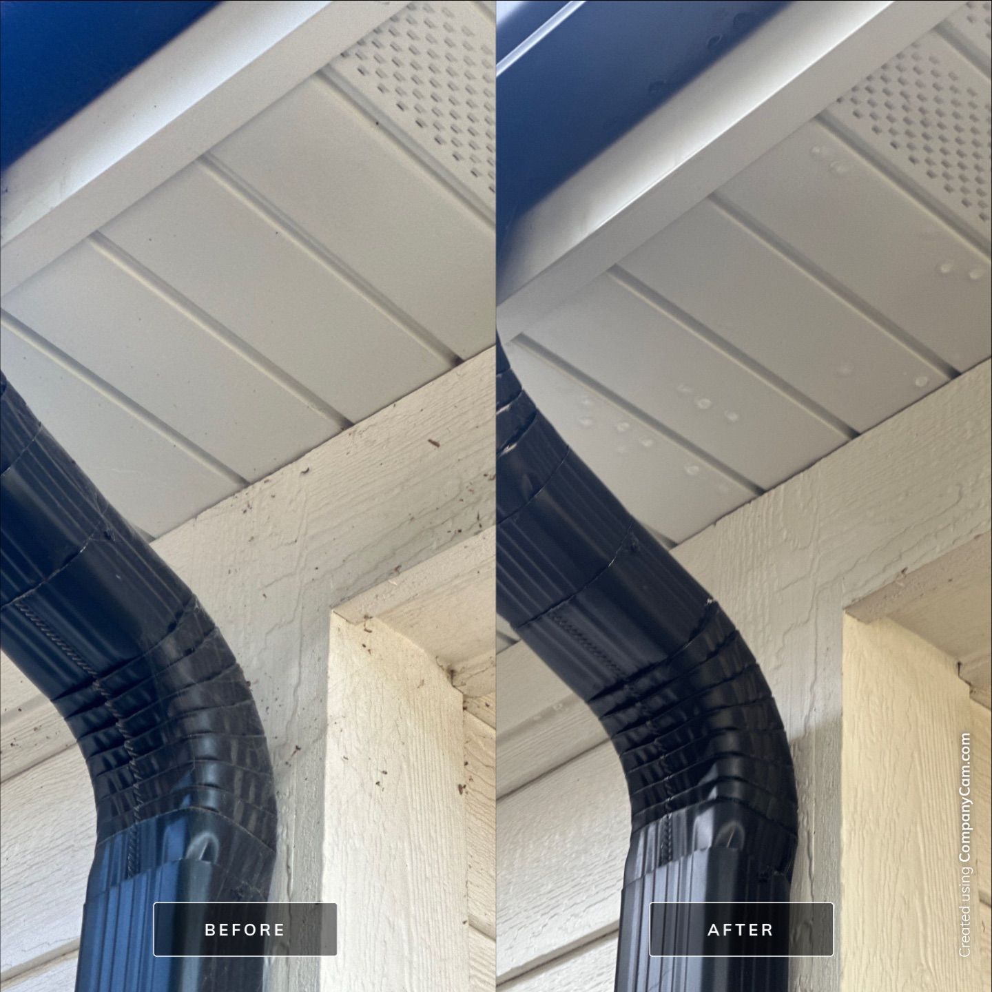 Project in Palatine by Simmons Power & Soft Washing