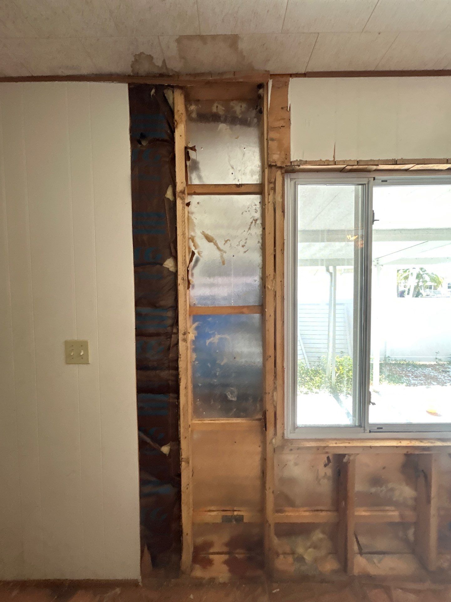 Mold Remediation Bradenton by Ampm Restoration Services 