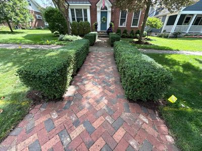 Jason G. - Arlington Heights, IL