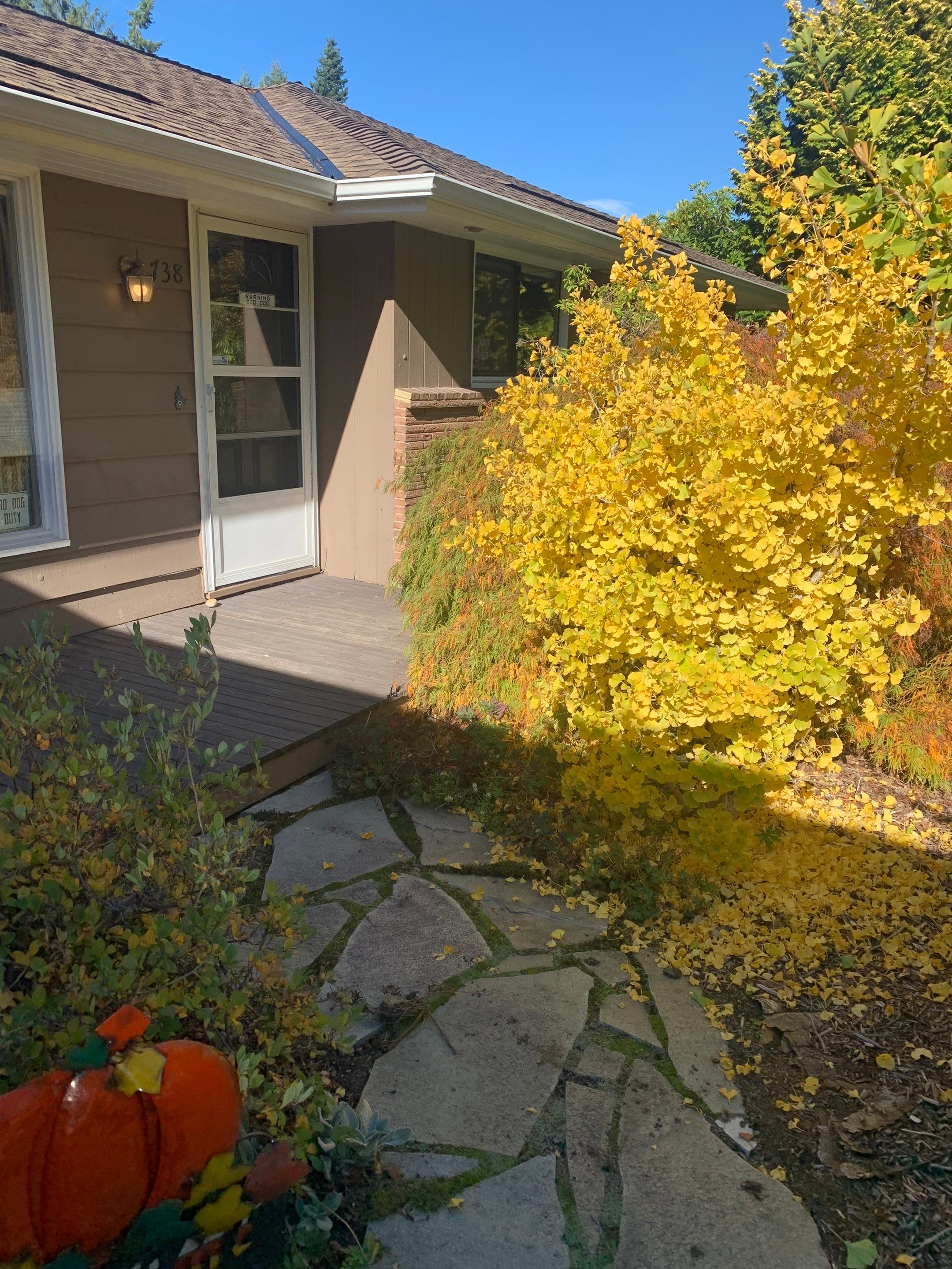 Edie | Concrete Driveway and Walkway  by Jireh Asphalt & Concrete Inc 