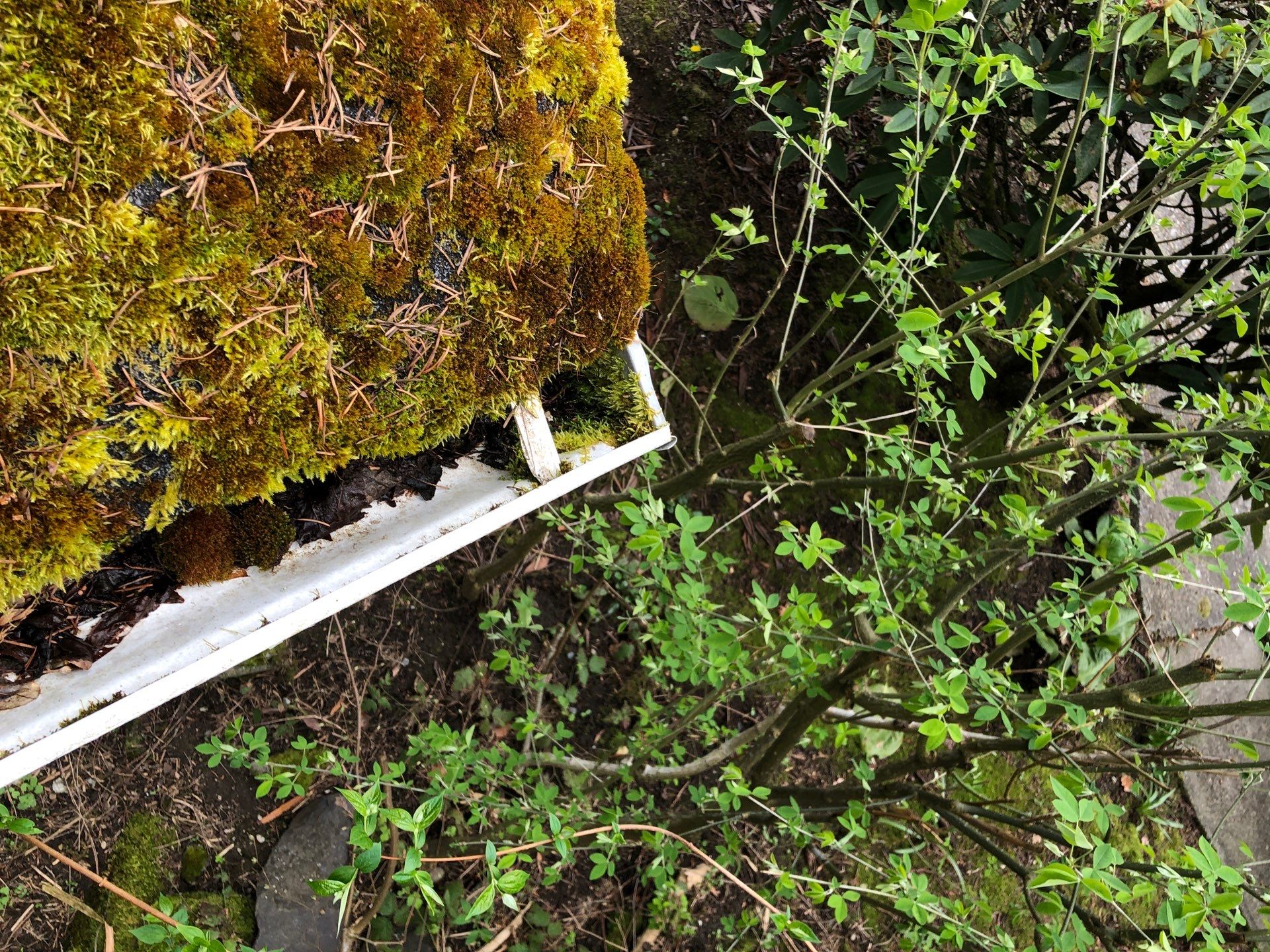 Project in Seattle by Connolly Construction Company