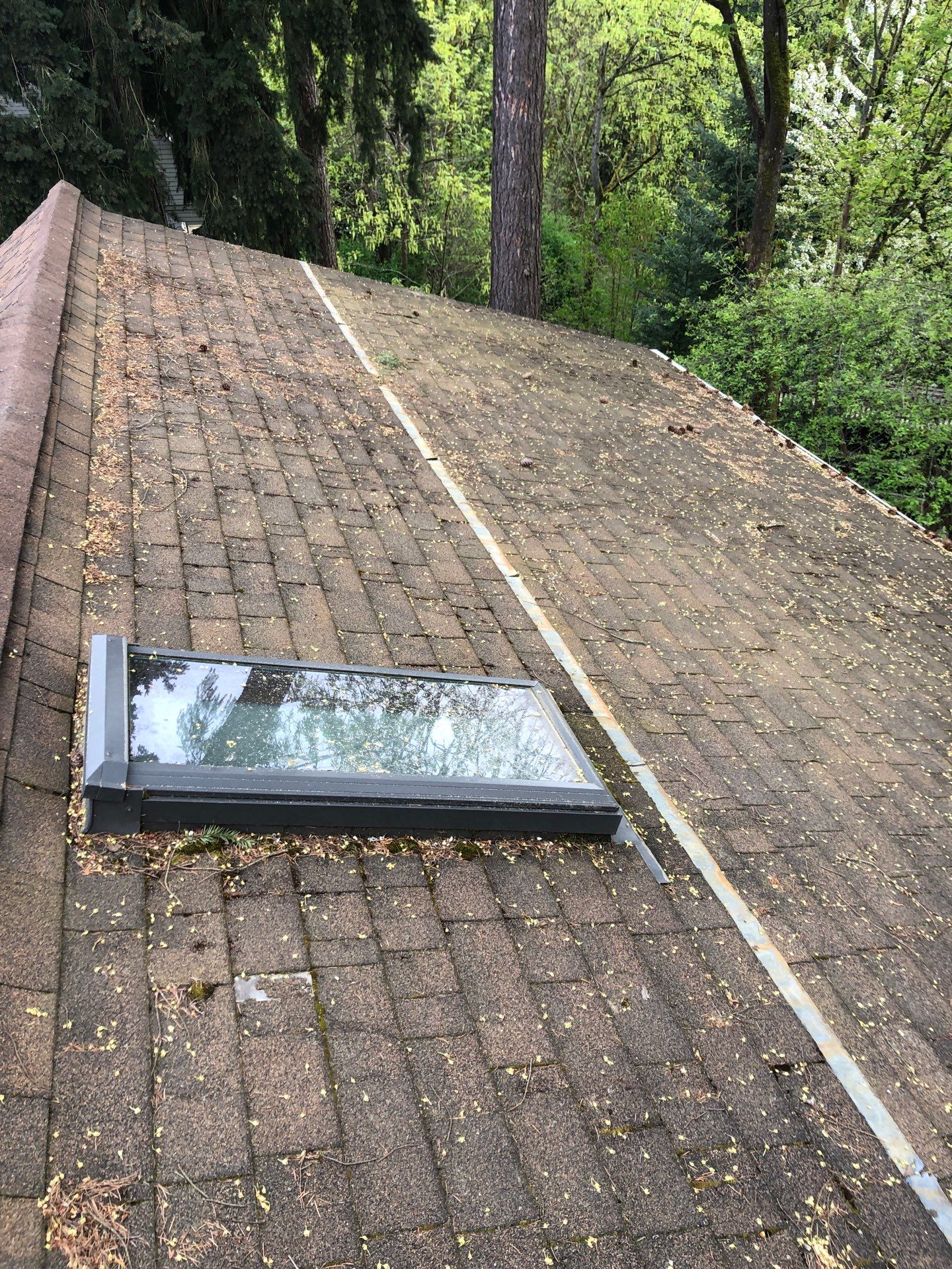 Project in Seattle by Peaks and Valleys Construction