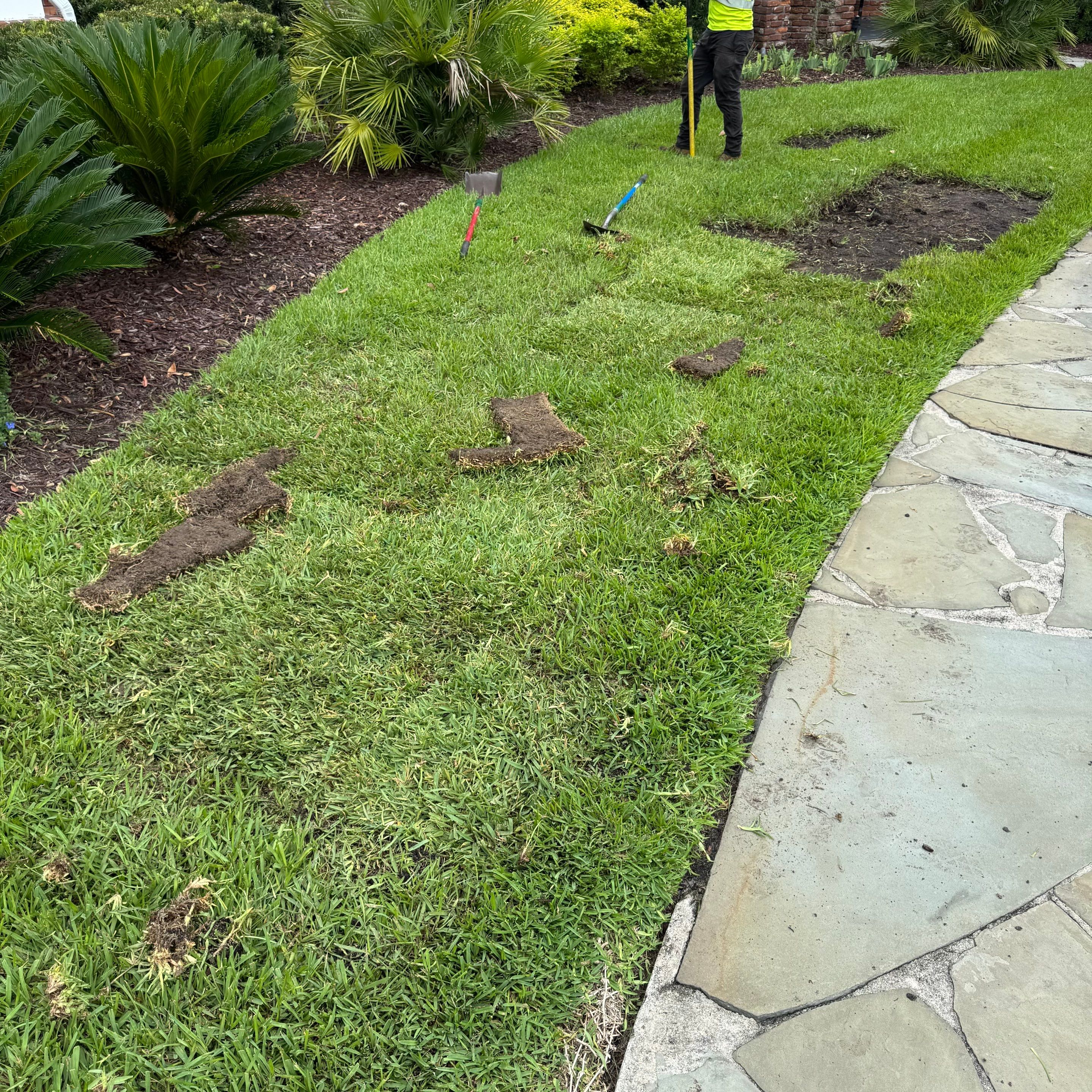 Deerwood Resident | Sod & Plant Installation by ProGreen Services
