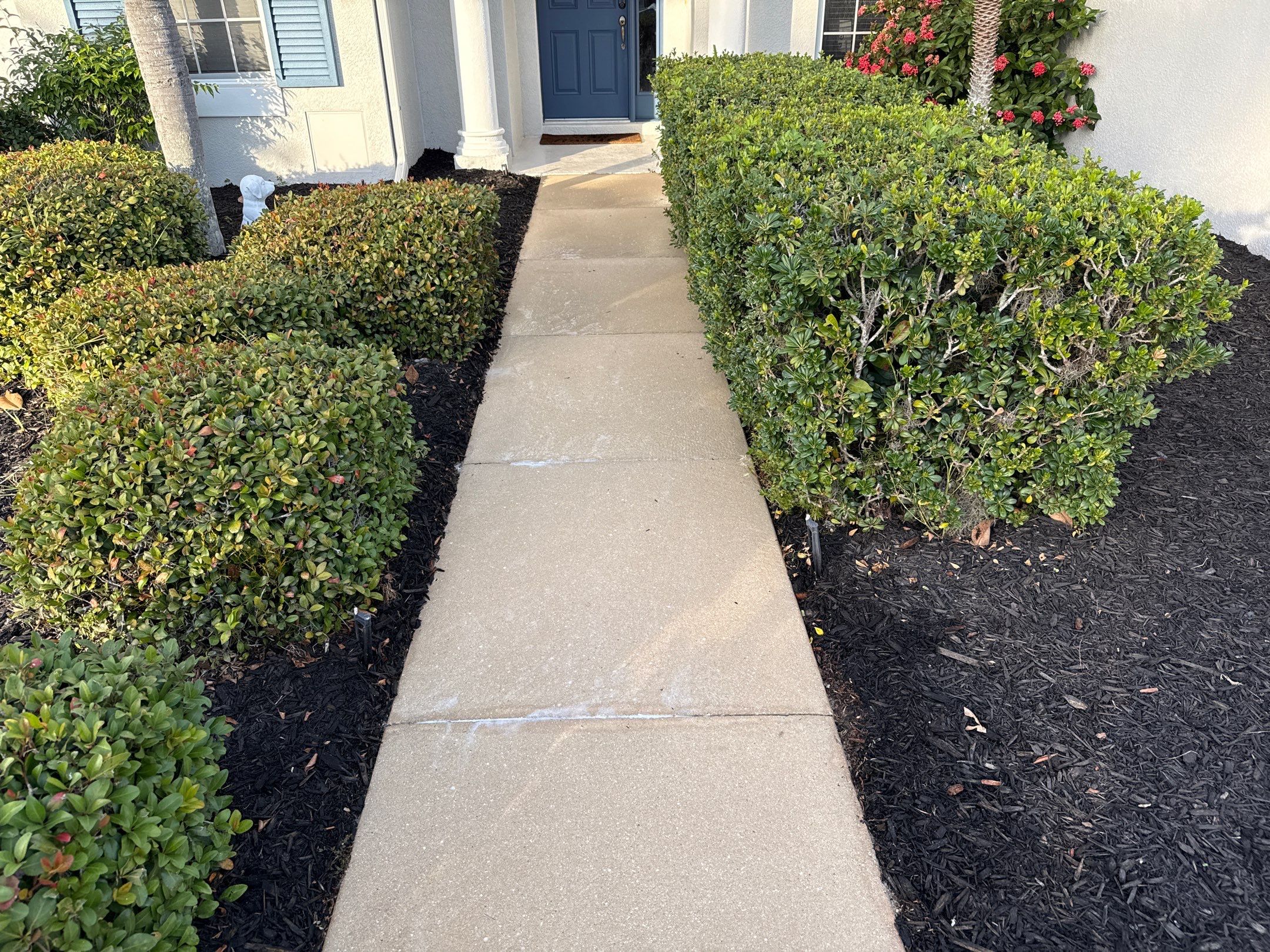 Concrete Driveway & Walkway Transformation | Northwood Park, Palmetto FL by Sunshine AquaWash