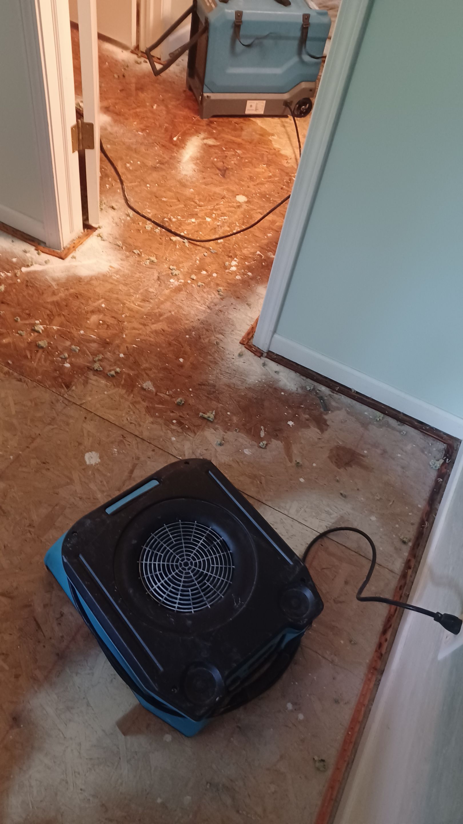 Project in Village of Clarkston by EzDry Water Mitigation & Property Restoration