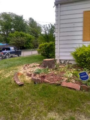 Tree Removal using Tree Removal