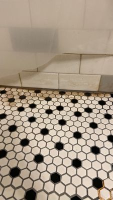 Project in Aurora