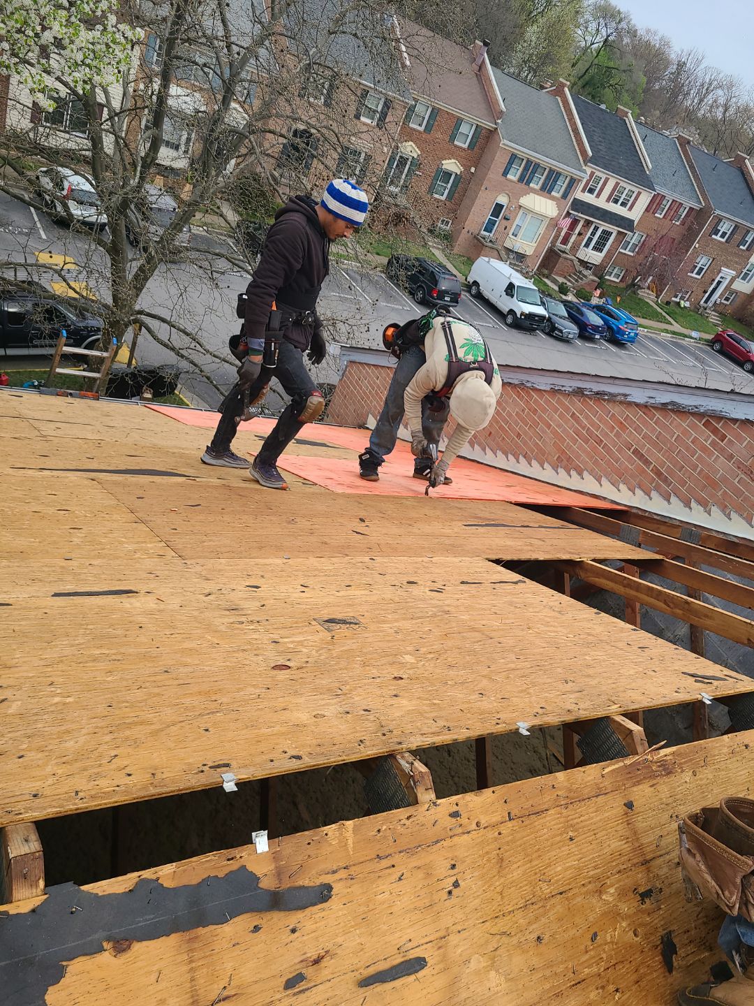 Springfield: Residential Roof Replacement with CertainTeed Landmark Pro in Max Def Red Oak by RM Banning, Inc.