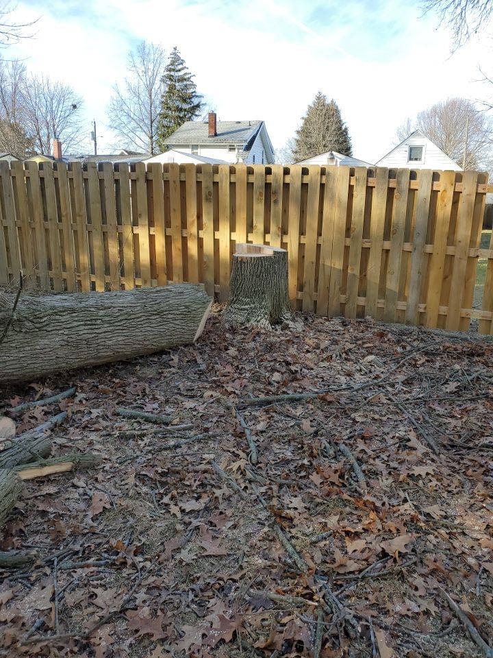Tree Removal using Tree Removal by Mike Jones & Sons Tree Service LLC 