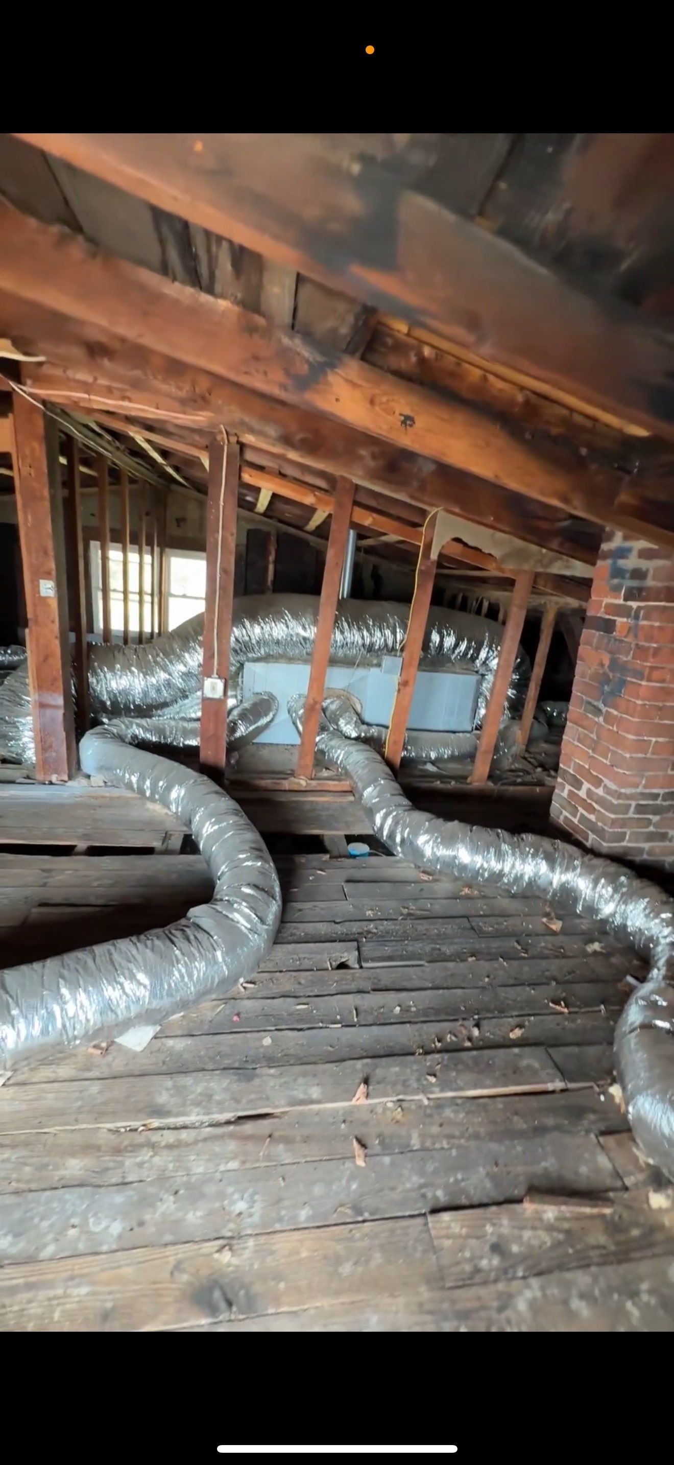 BIOHAZARD PIGEON FECES by Sadie’s Pro Cleaning