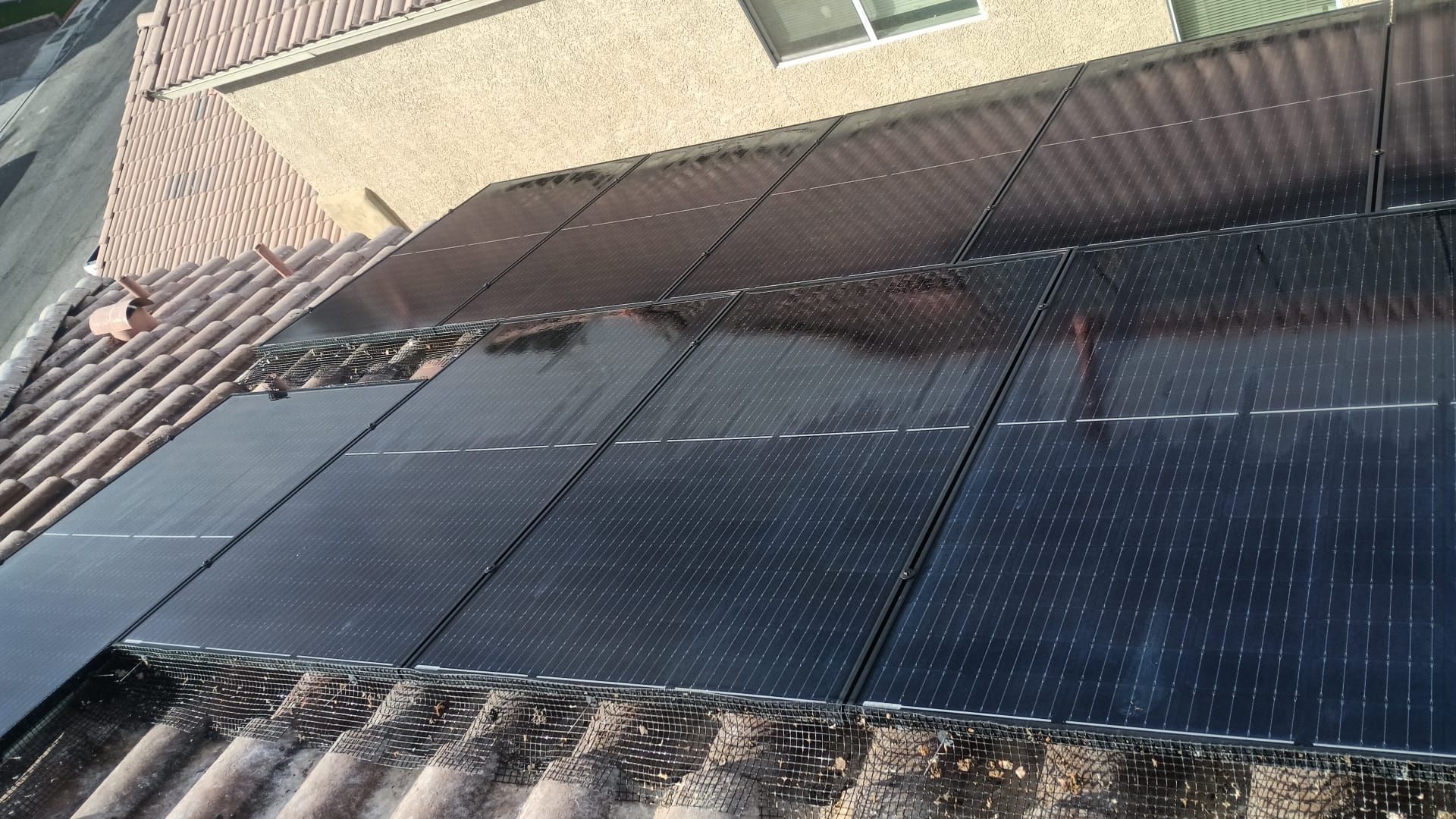 Excessive pigeon problem  by Solar Honest Cleaning 