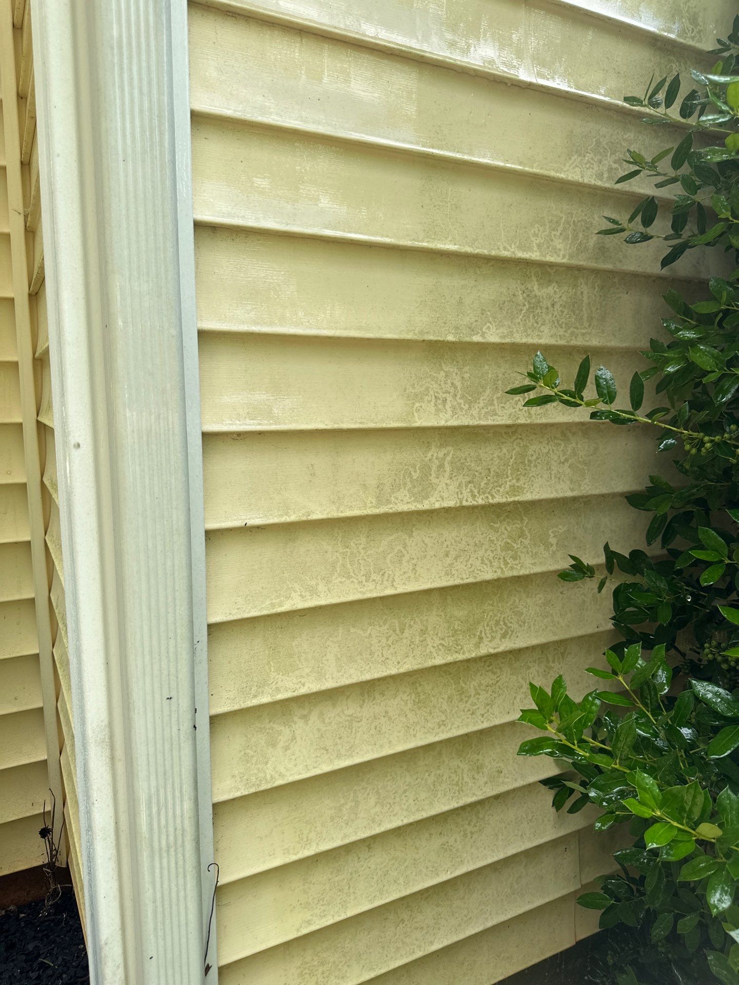 in this photo a pressure washing company based in lancaster sc is likely providing a house siding cleaning service the siding shows signs of dirt and grime accumulation which is quite common on exterior surfaces exposed to the elements the pressure washing technique uses high-pressure water spray to remove loose paint mold grime dust mud and dirt from surfaces and objects such as buildings vehicles and concrete surfaces from the looks of it the siding could be vinyl a popular choice for housing material which often requires regular cleaning to maintain its appearance and longevity