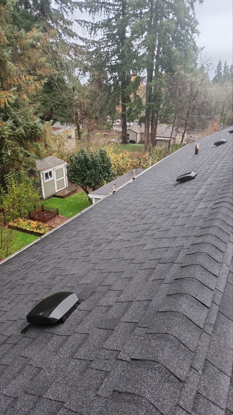 Driveway Repair using Pressure washing no chemicals by Willamette Outdoor Wash LLC