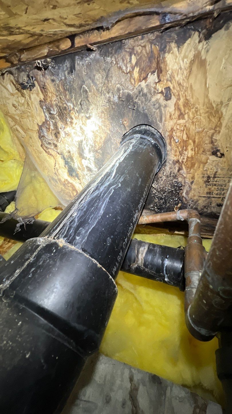 Mold Remediation by Accountable Home Services