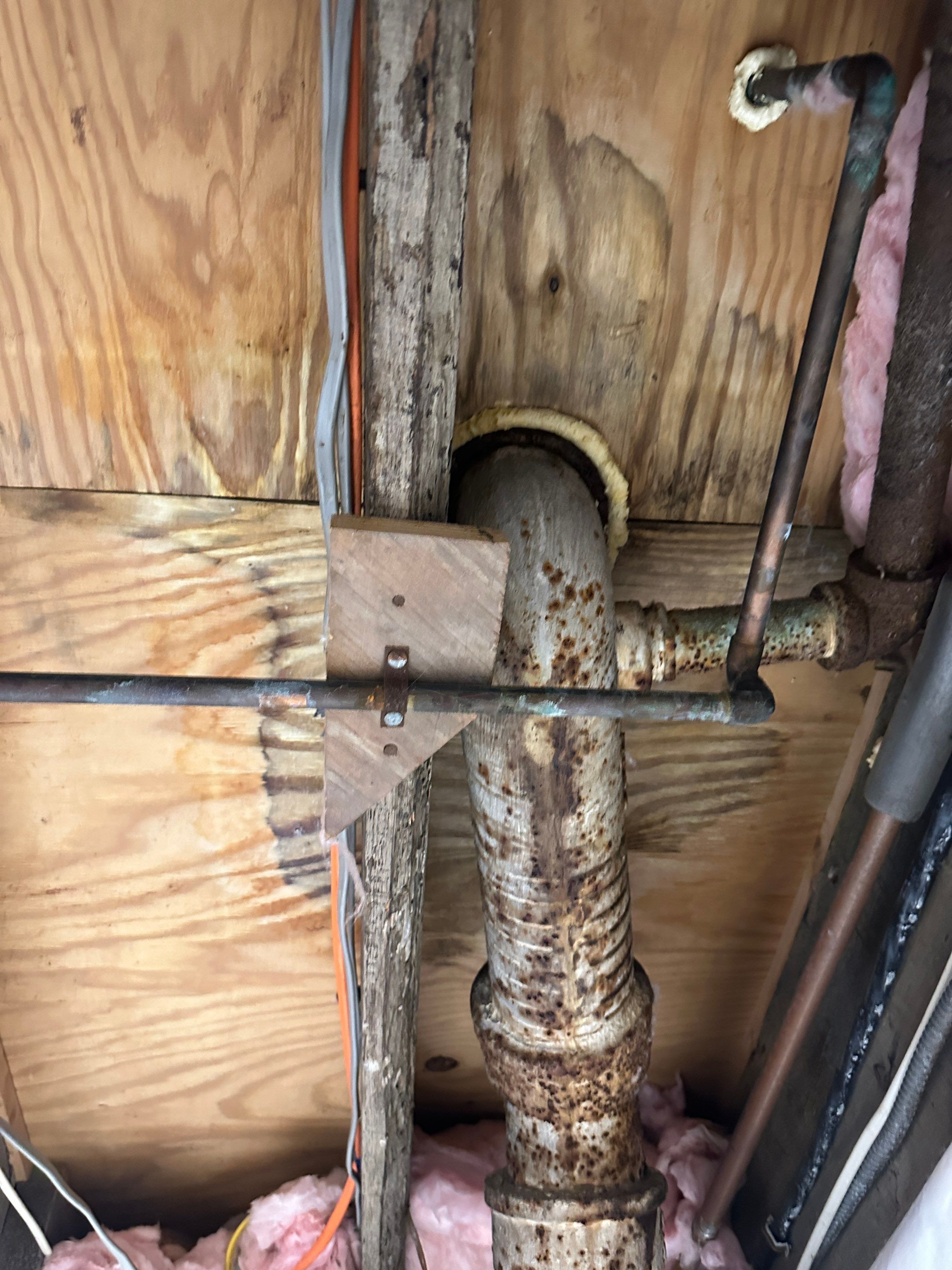 Bathroom Mold Remediation by Home Guarantee, LLC