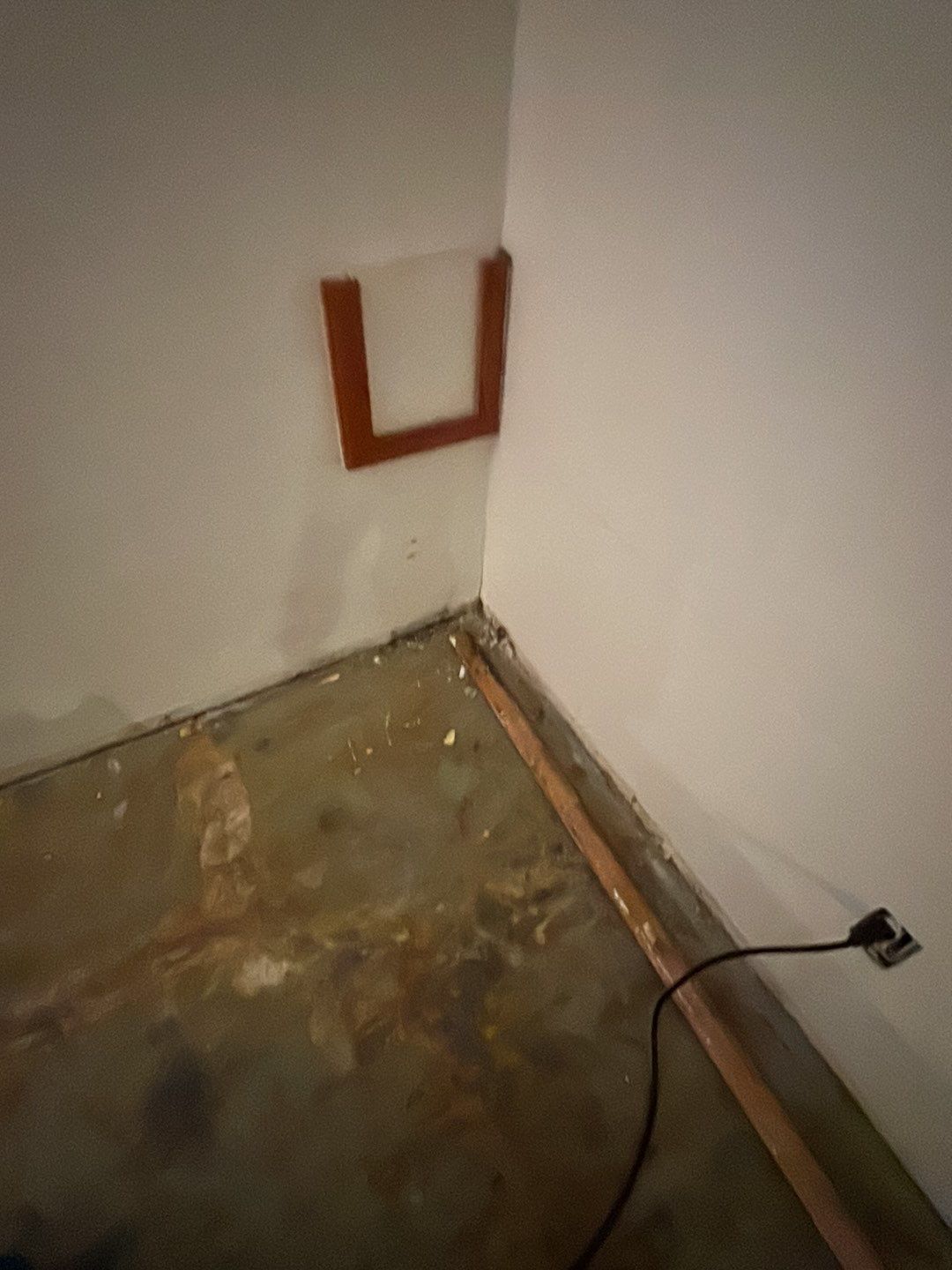 Water Damage by Accountable Home Services
