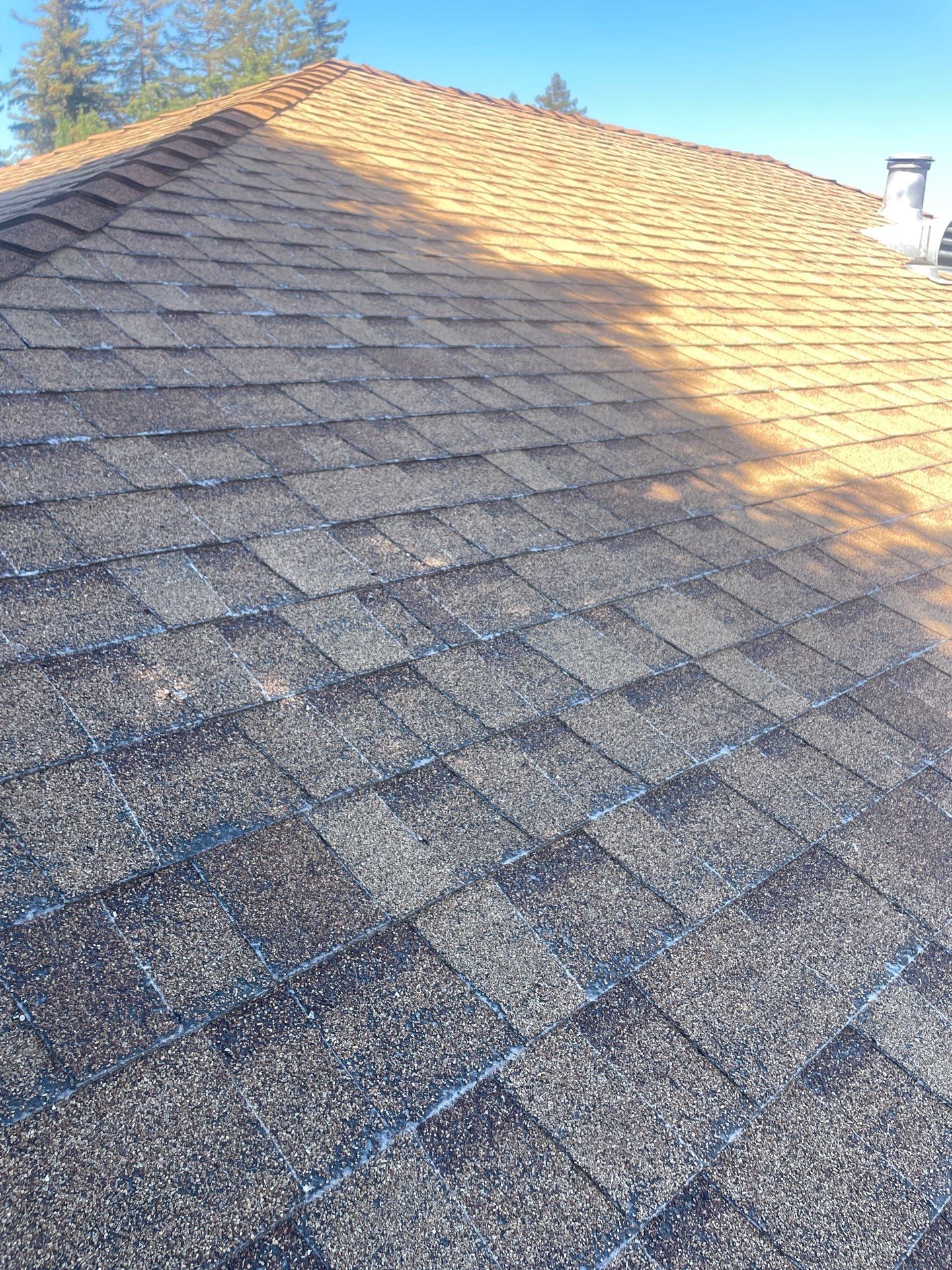 Roof Rejuvenation using Roof Maxx Treatment by Roof Maxx of Folsom