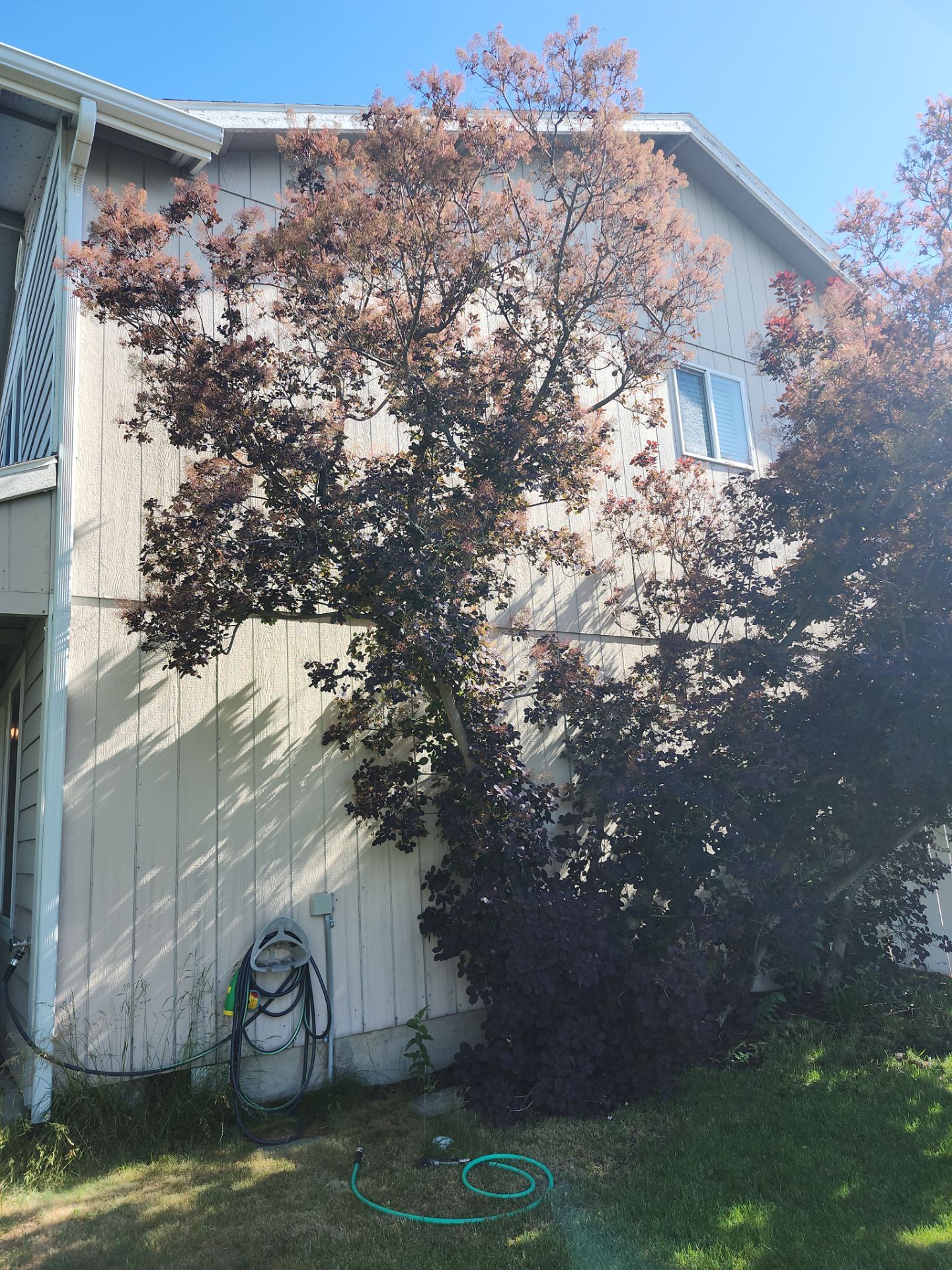 Exterior Painting Job in Cheney WA by Painter1 Inland Northwest
