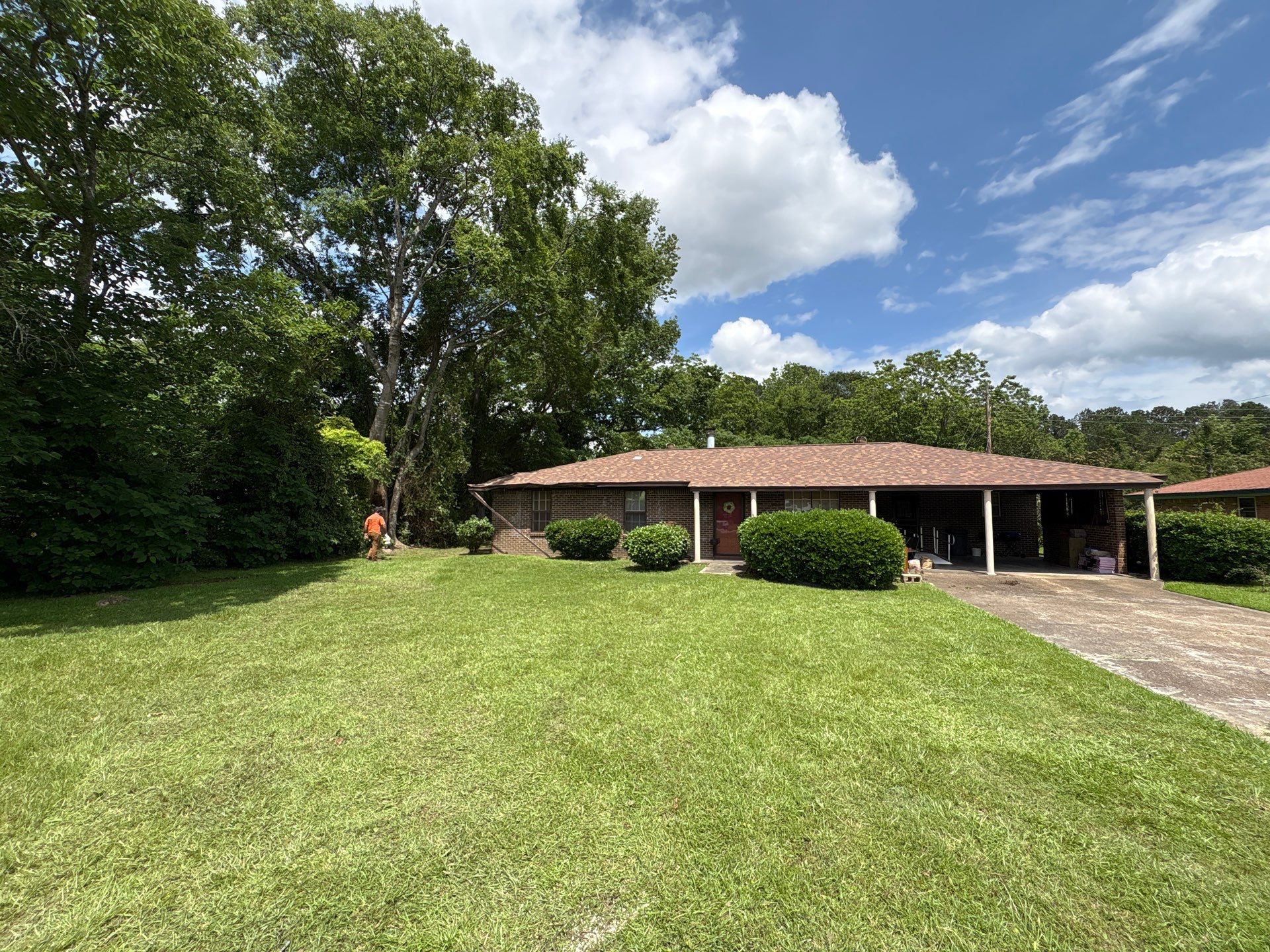 Crane-Assisted Emergency Removal by American Arbor