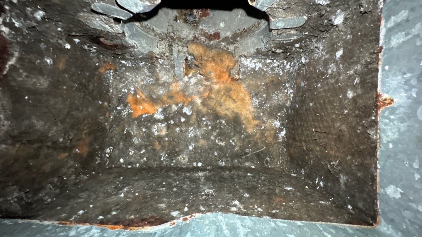 Extremely Dirty Air Duct Cleaning in Fruitland Park by Hygienic Air, Inc