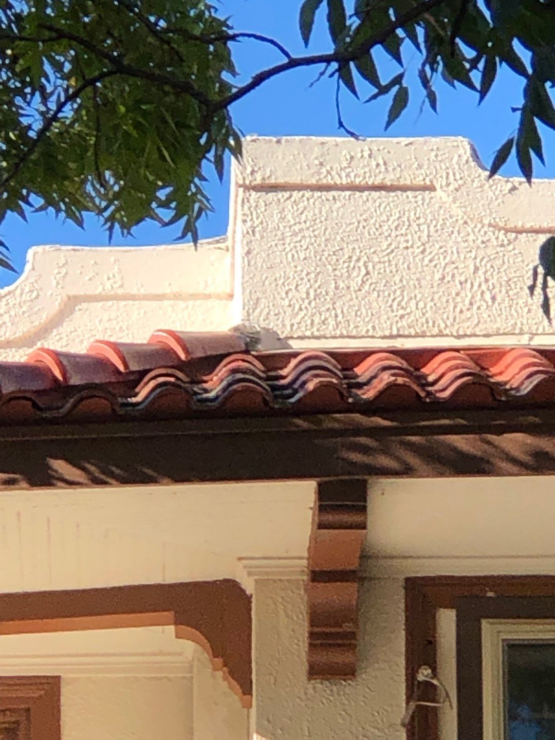 Tile roof project by Springtree Restoration 