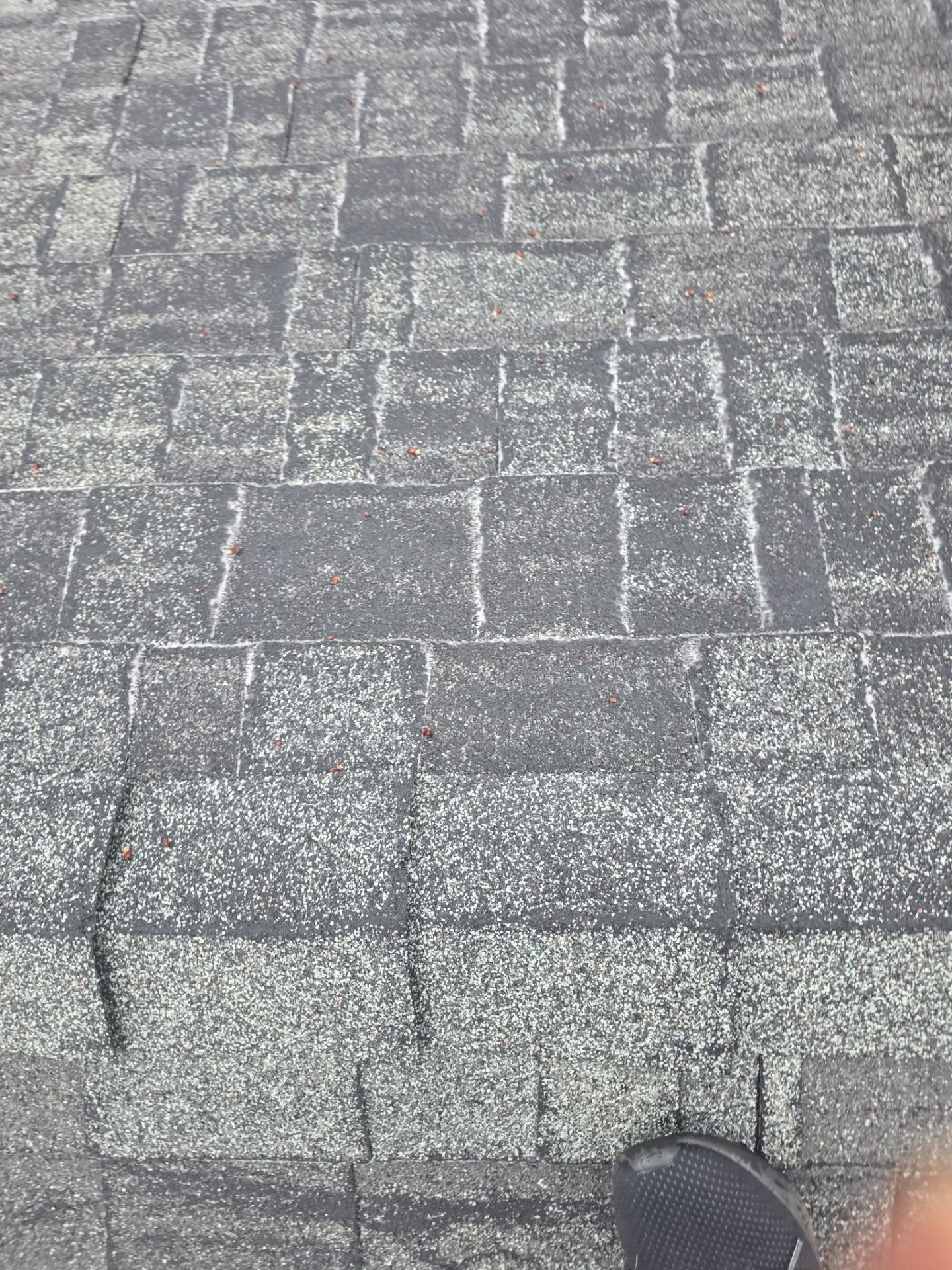  Roof Rejuvenation using Roof Maxx Treatment by Roof Maxx of Folsom