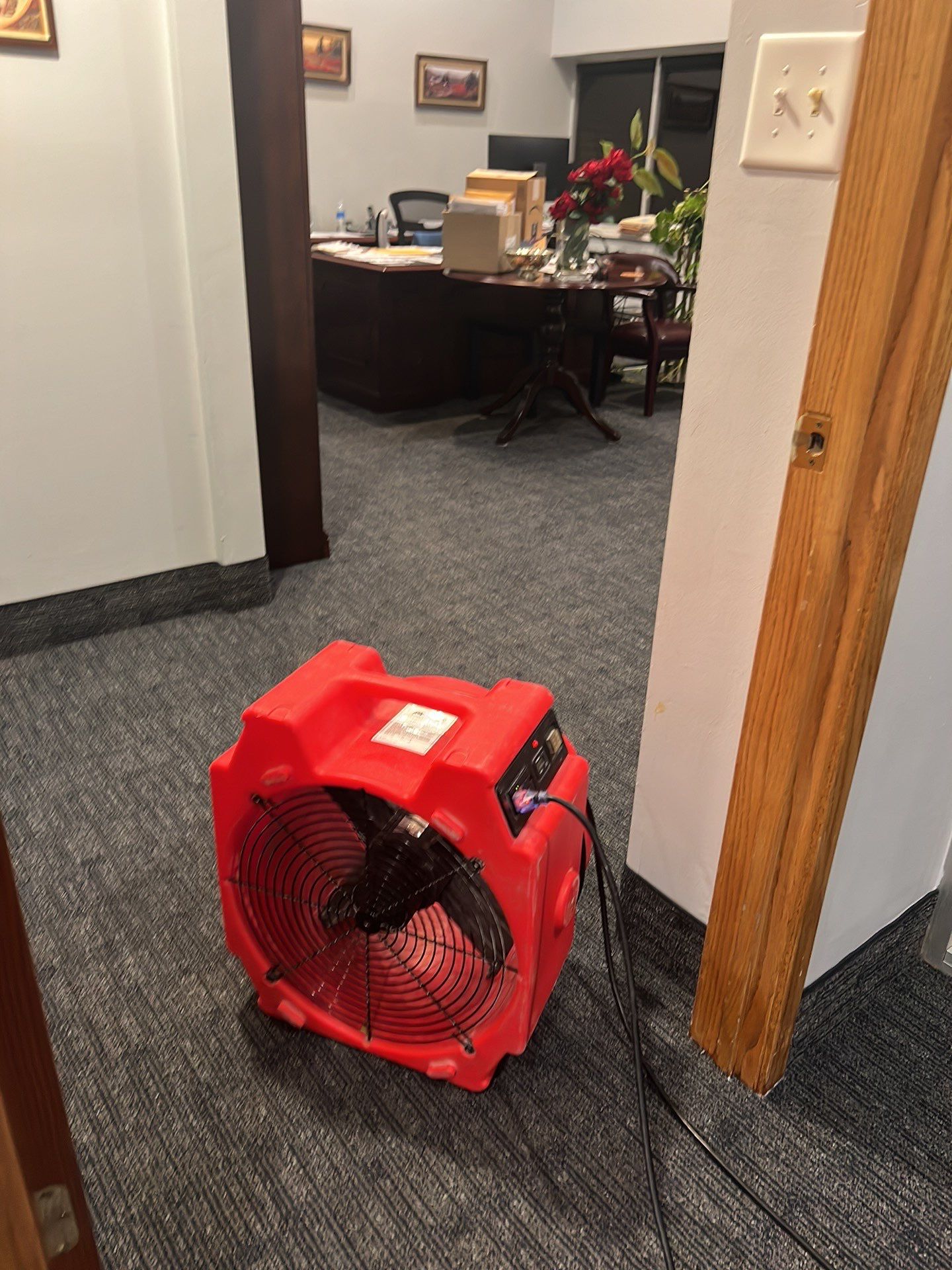 Project in Southfield by EzDry Water Mitigation & Property Restoration