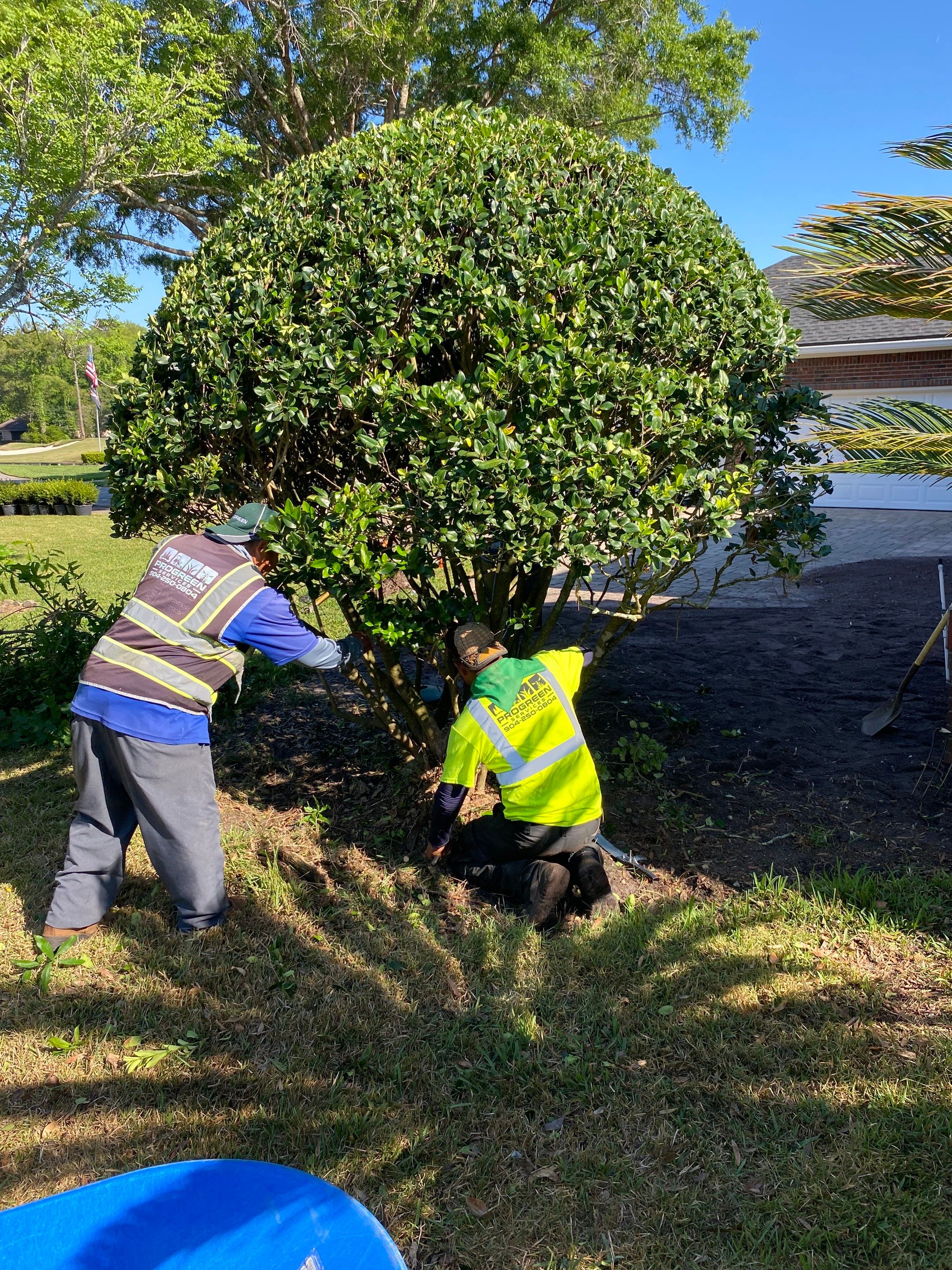 Deercreek Resident | Landscape Update by ProGreen Services