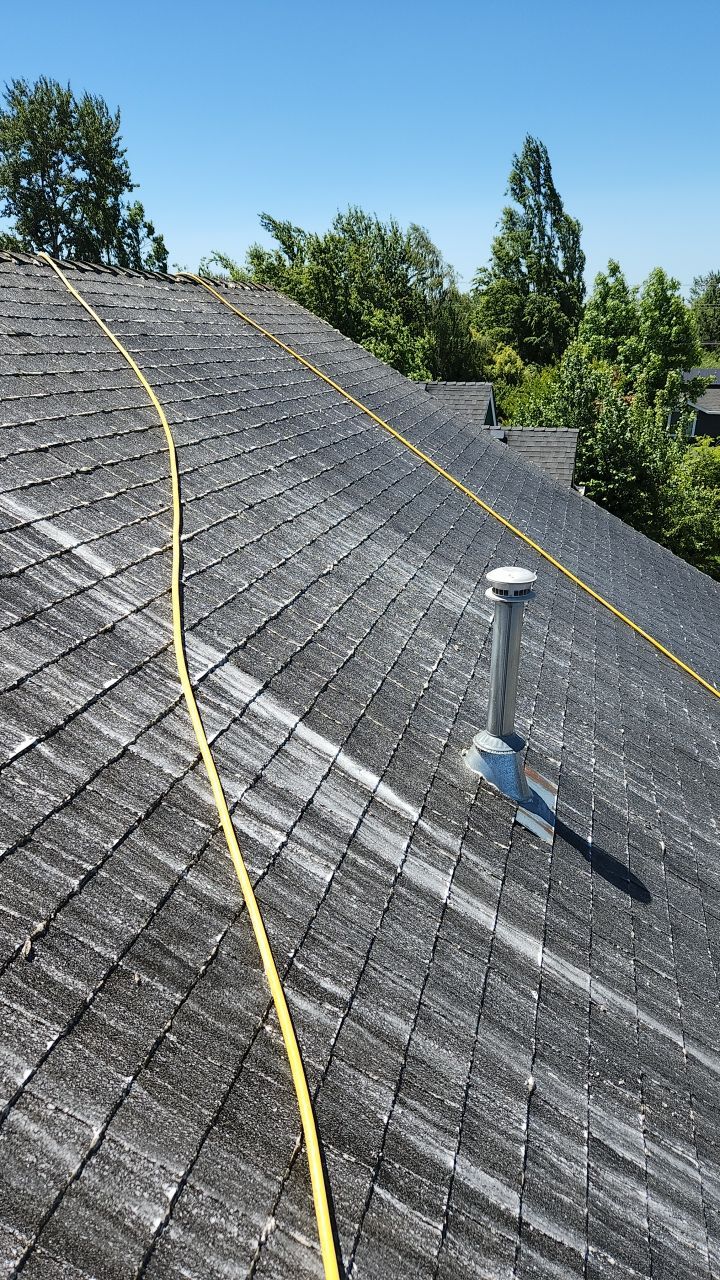 Interior and Exterior gutter clean and Roof Wash by Willamette Outdoor Wash LLC