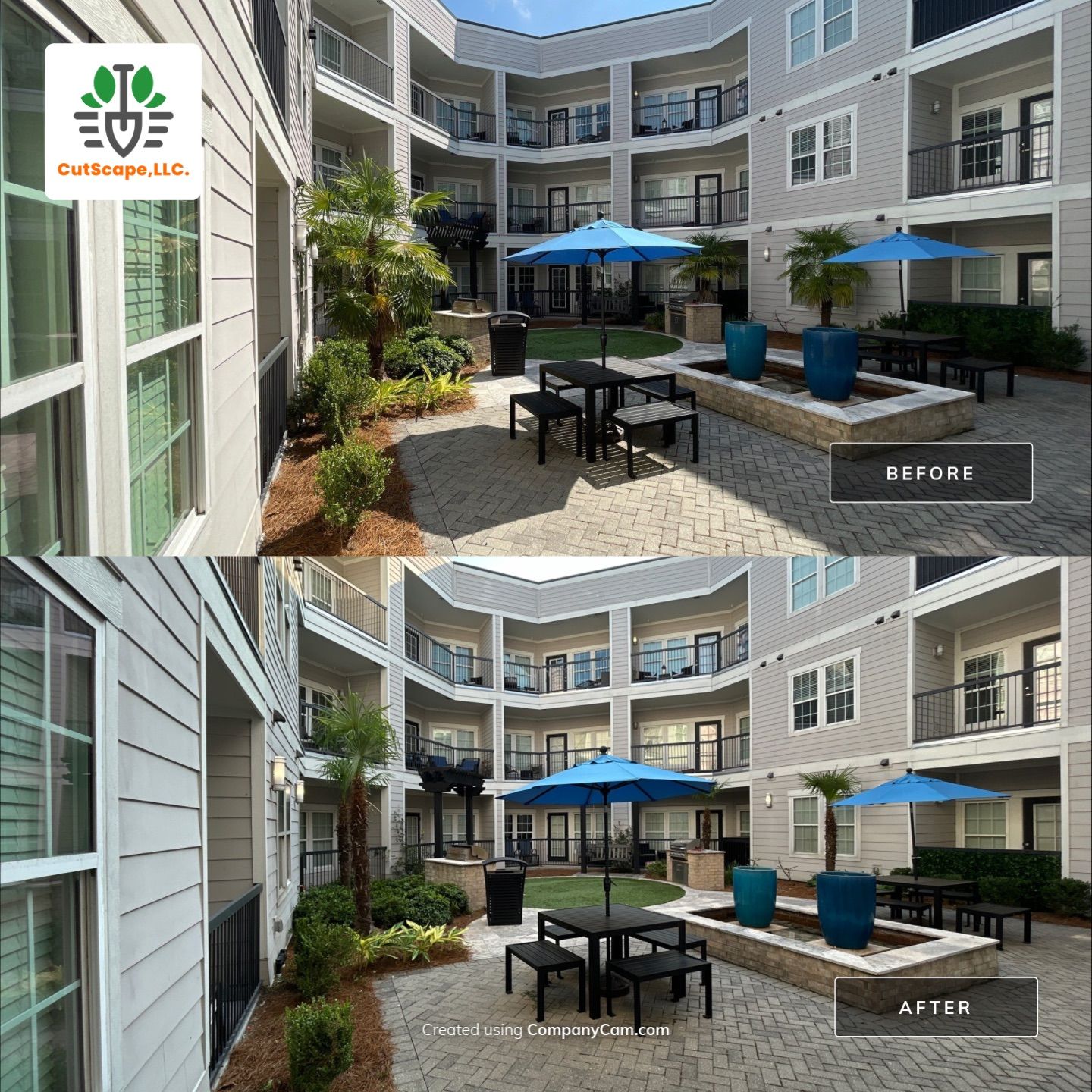 COMMERCIAL LAWN MAINTENANCE: HEDGE TRIM / BED CLEAN using HEDGE TRIM LABOR by CutScape, LLC.