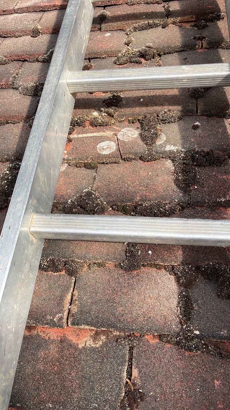 Roof Clean - Moss Removal using Honda 15lpm Low Pressure Washing Machine by Ges Exterior Cleaning ltd