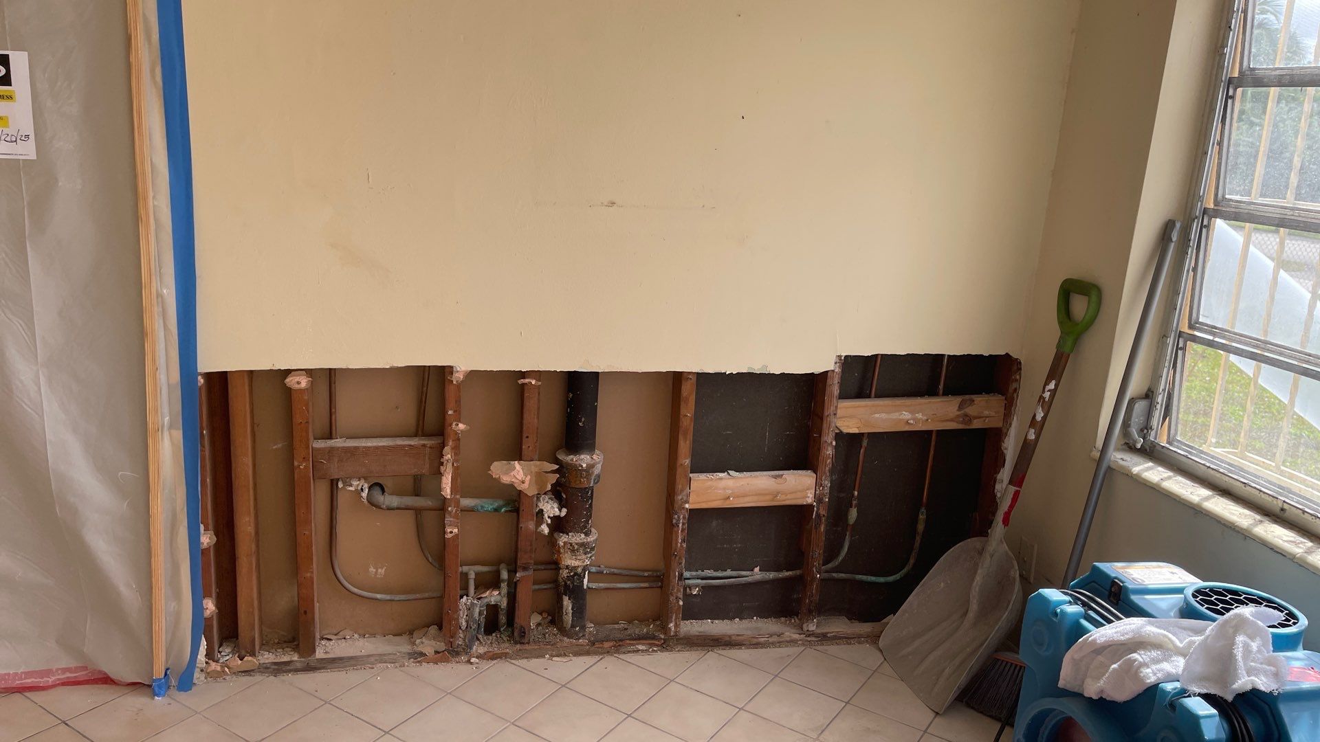 Mold Remediation  by THE RAPID TEAM