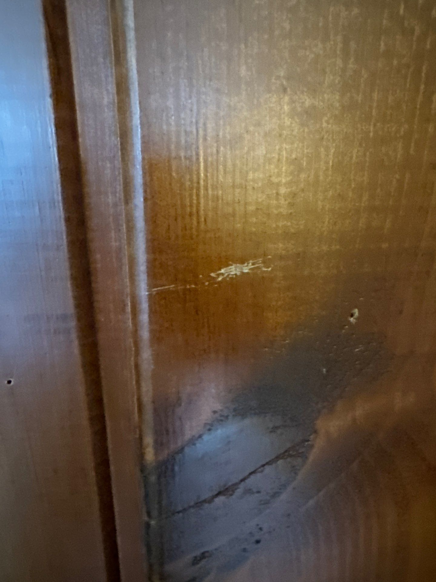 Residential Interior Painting in Annandale, VA by My Painter 