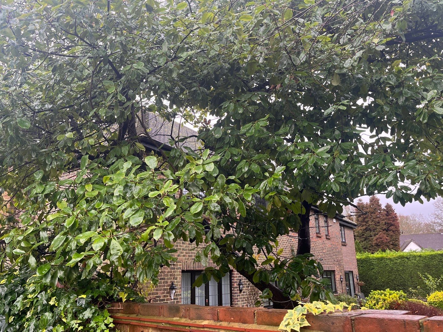 Roof Clean and Biocide Treatment using Honda 15lpm Low Pressure Washing Machine by Ges Exterior Cleaning ltd