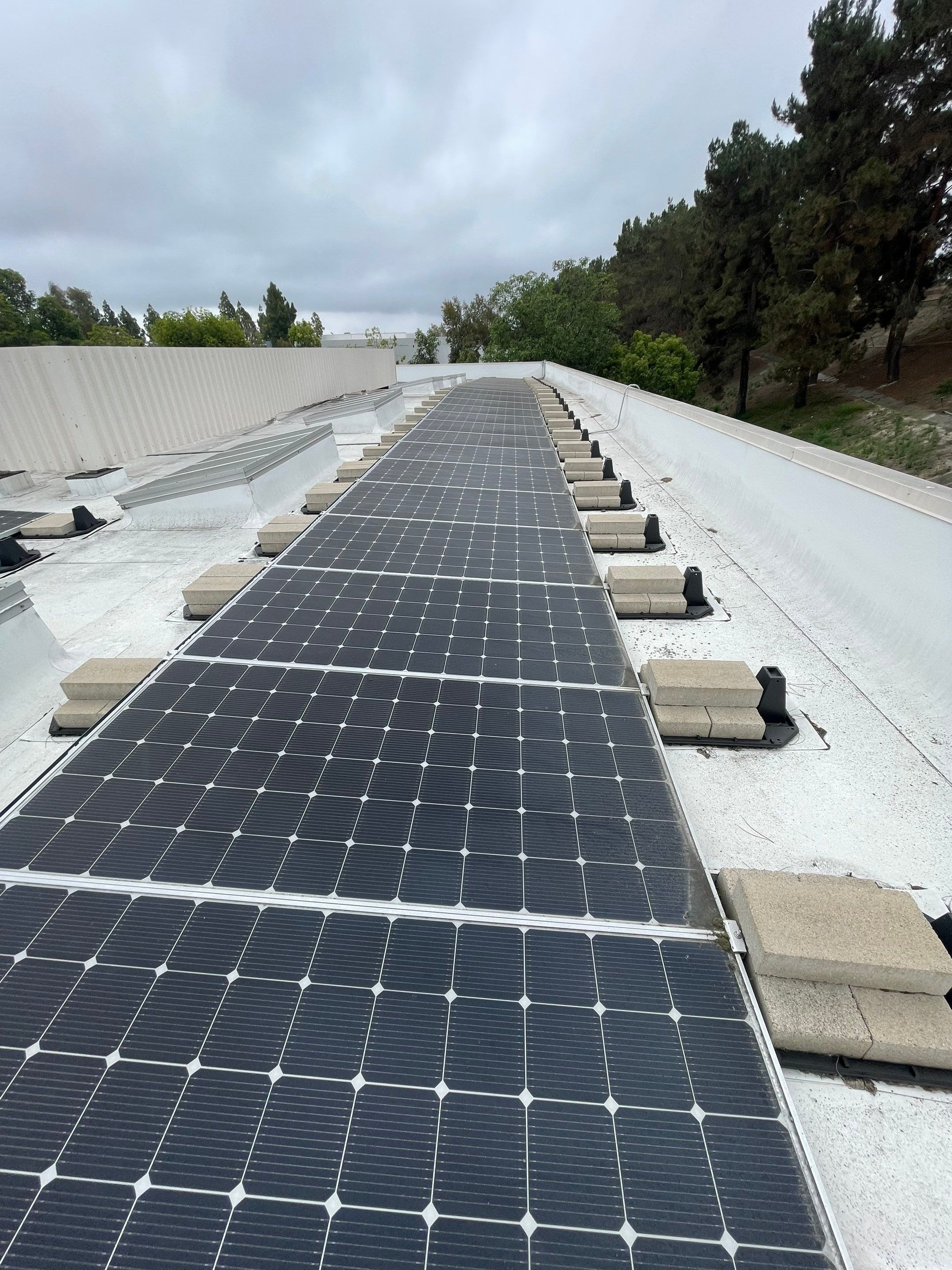 Commercial Solar Cleaning by Palm Coast Solar Cleaning