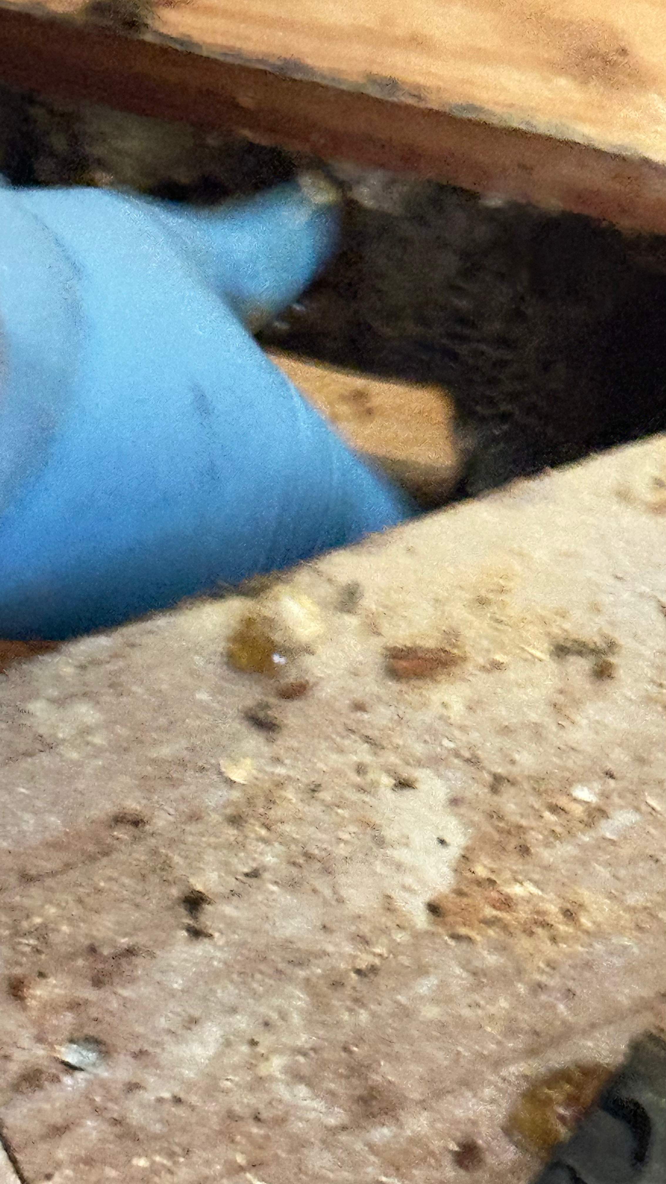 Under-foot. by Rockwall Honey Bee Company