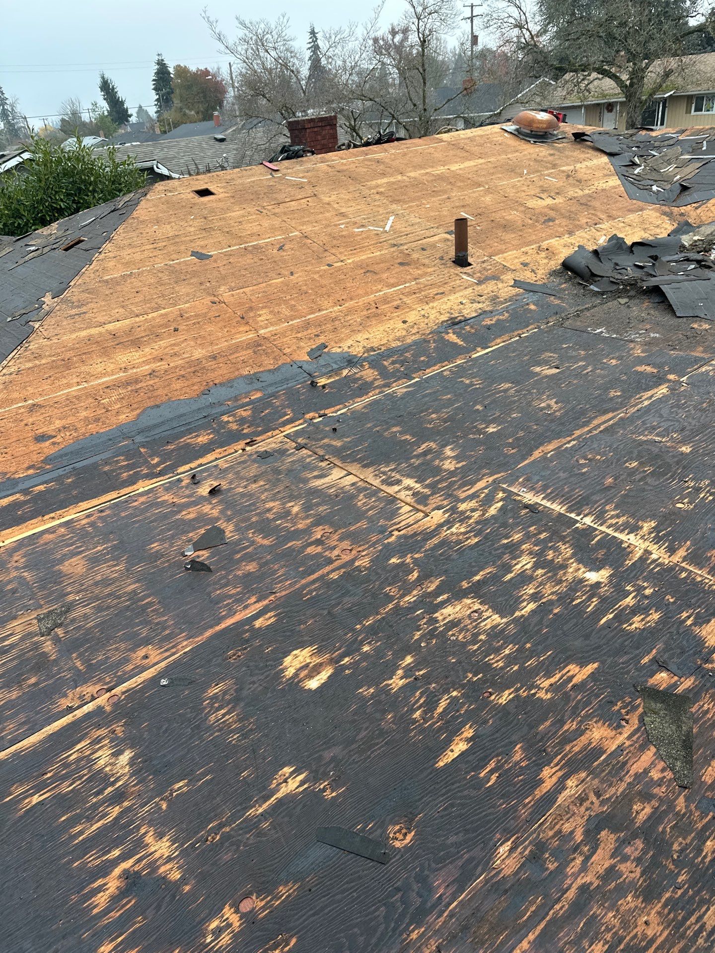 Residential Roofing Installation using IKO Dynasty (Color: Driftshake) by Orezona Building & Roofing Company, Inc.