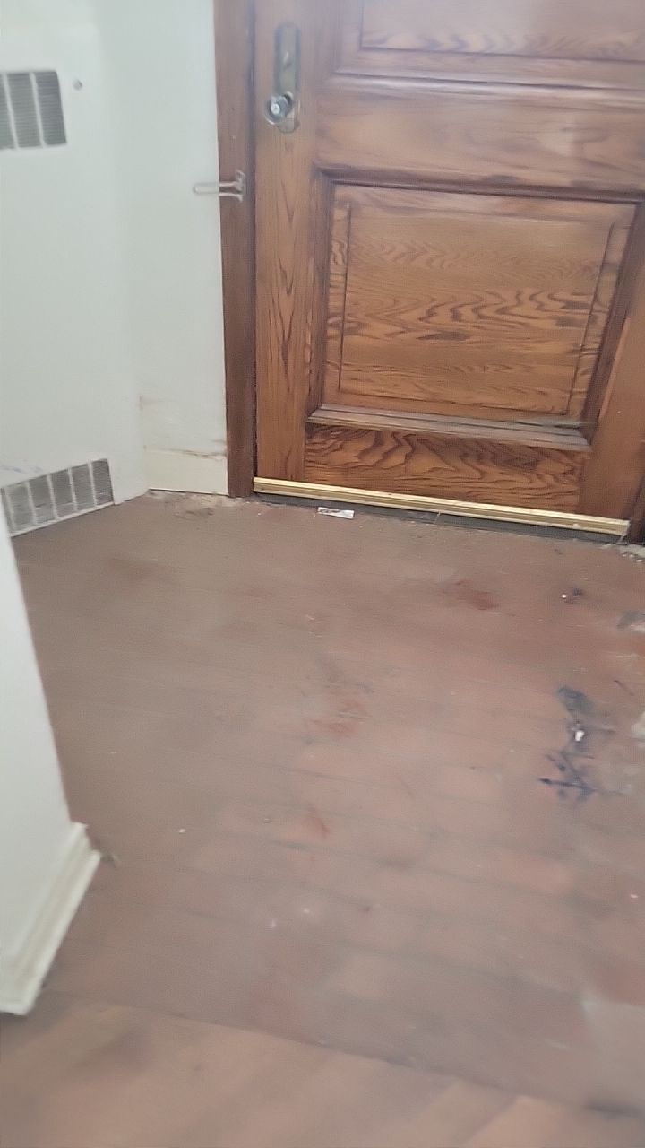 Mold Remediation by Accountable Home Services