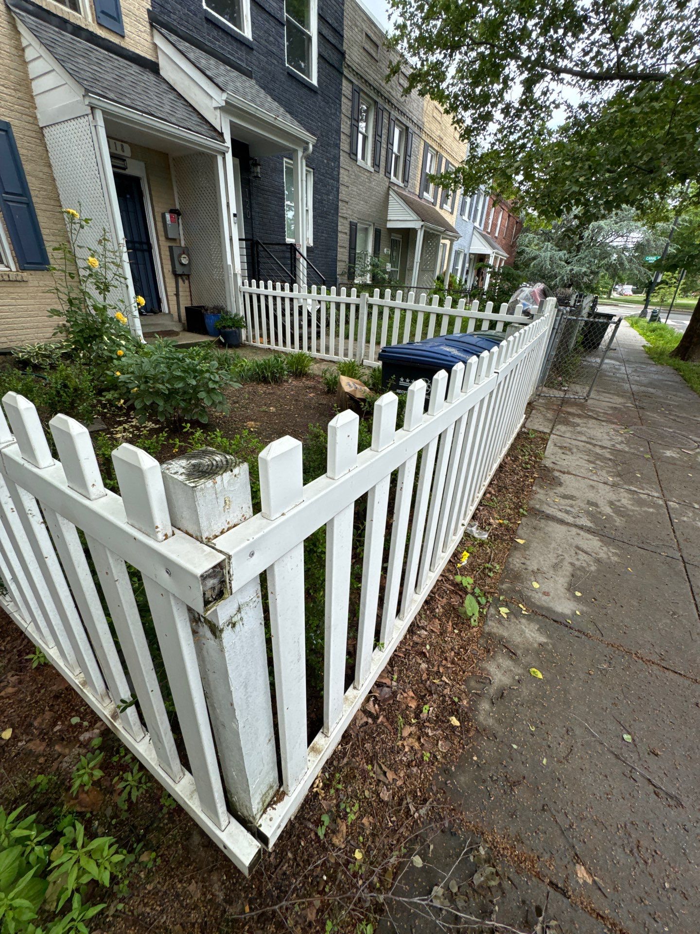 Custom Iron Fencing & Pet-Safe Gate Installation in Washington, DC. by Capitol Iron Works