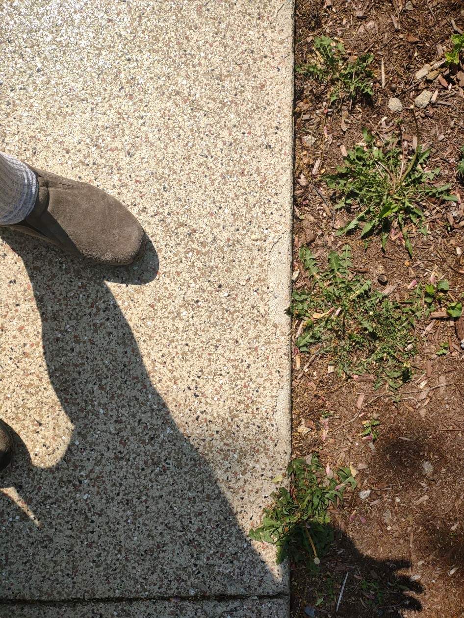 Walkway in Nashua, NH 03060 by Symphony Concrete Coatings