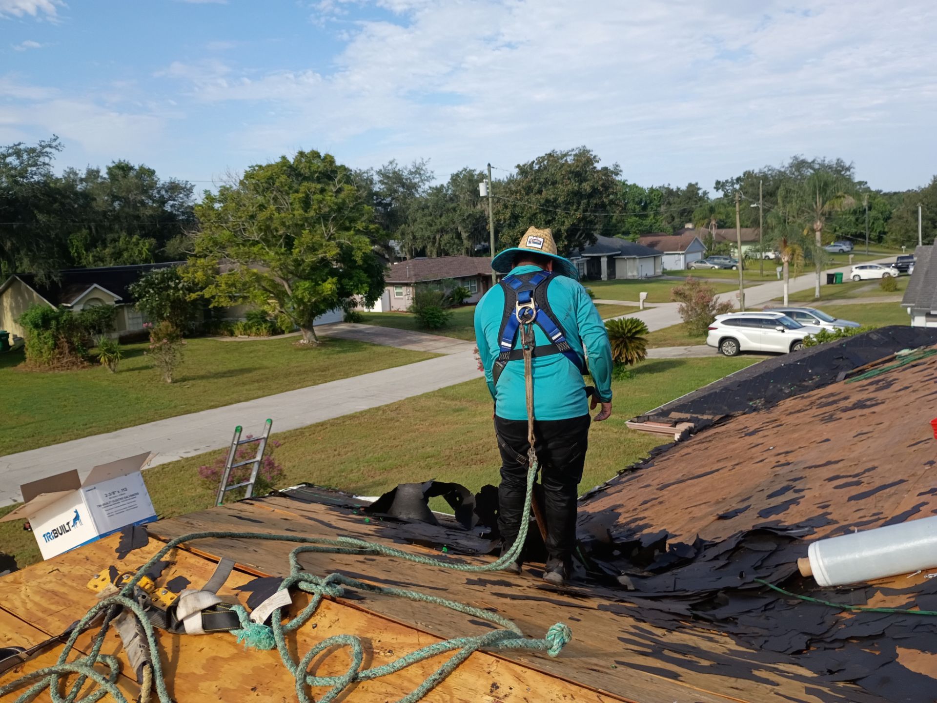 Deltona Roof Replacement Featuring Atlas Pinnacle Sun in Cool Coral Canyon by Pinnacle Roofing Group
