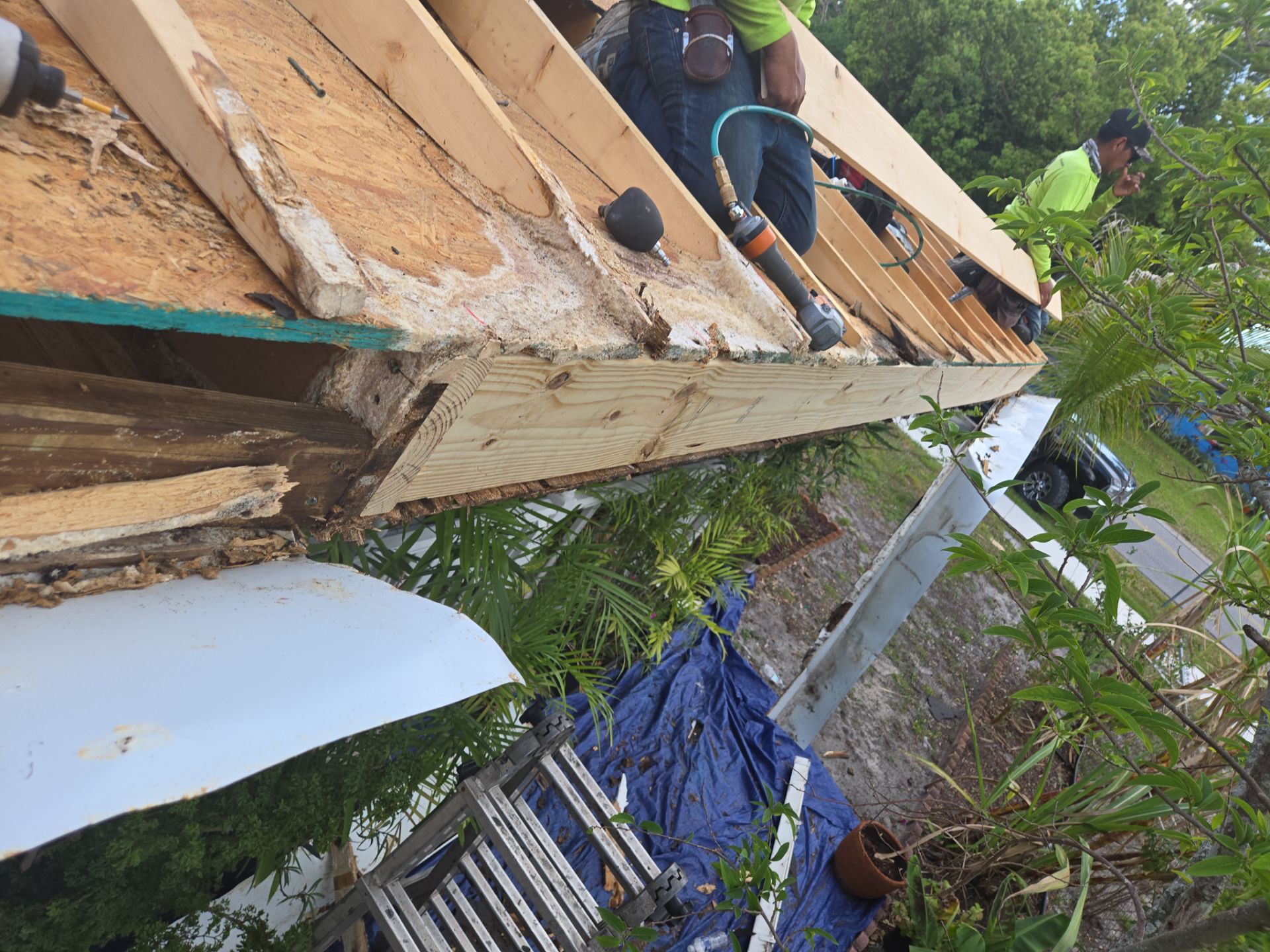 Project in Pinellas Park 33782 by Mitchell Roofing Company LLC 