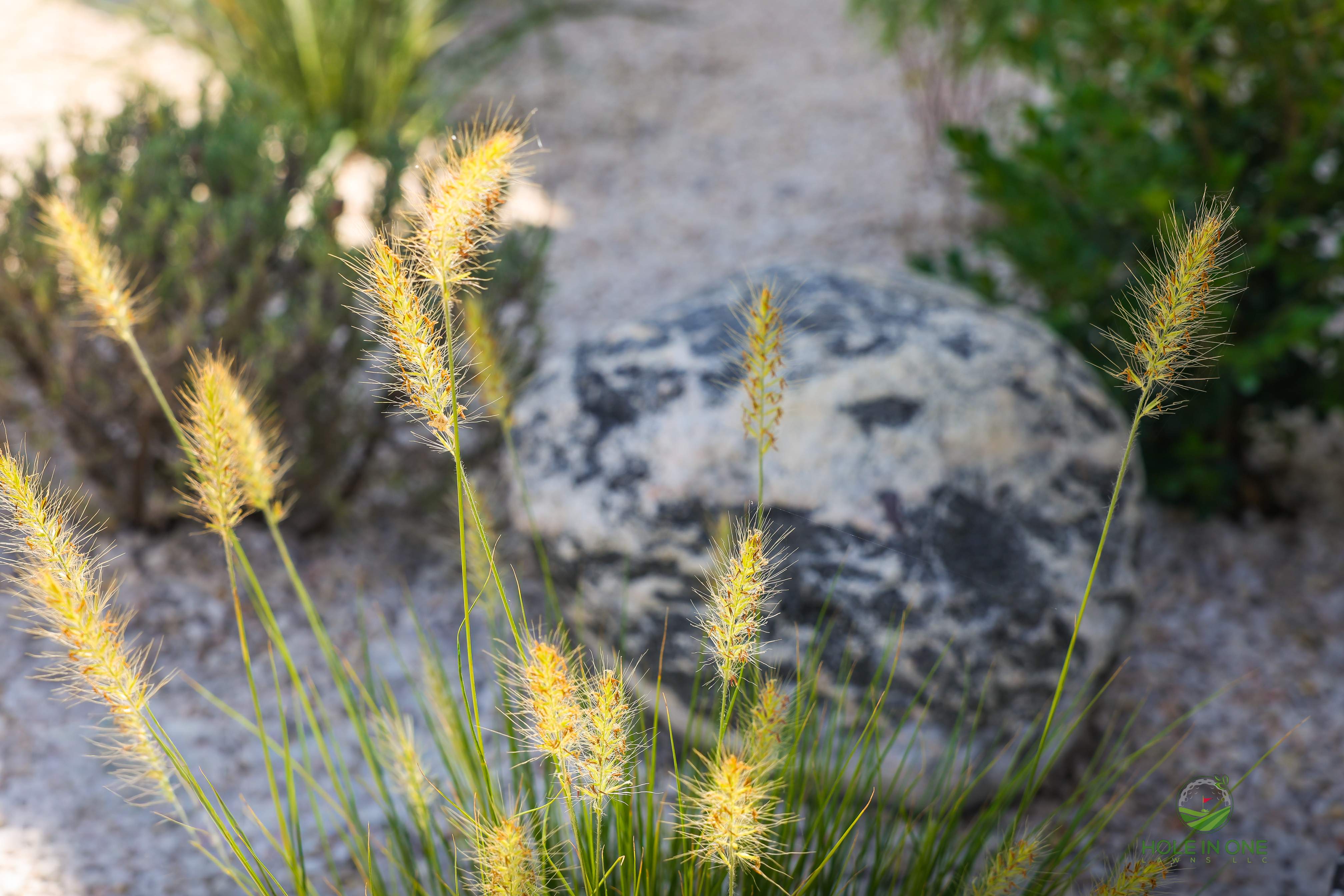 The Ranches at Creekside, Boerne TX by Hole In One Lawns, LLC