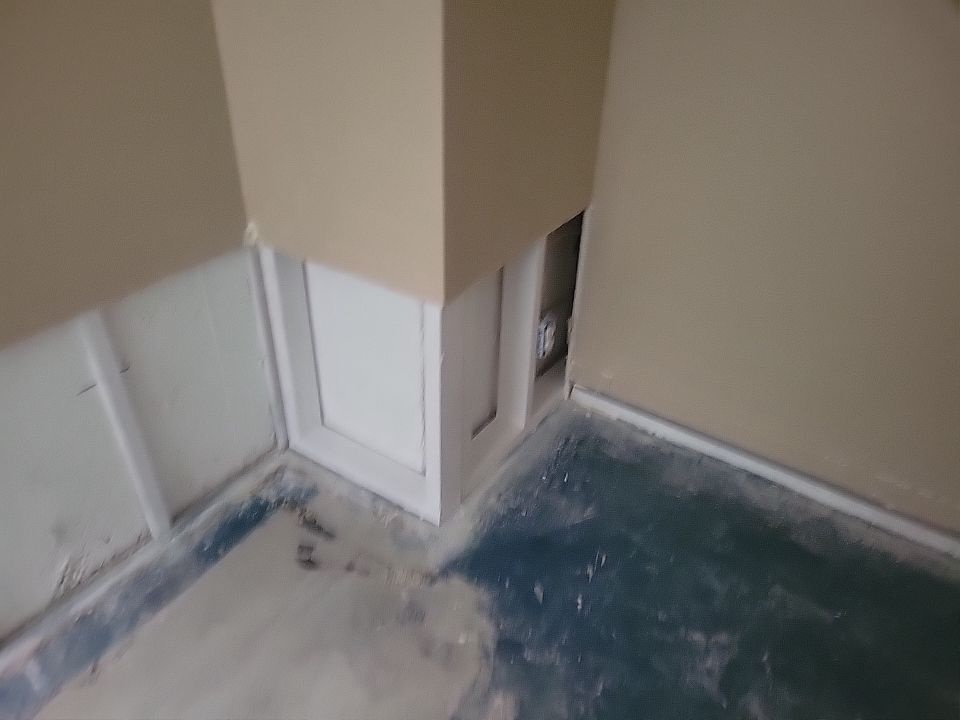 Mold Damage by Accountable Home Services